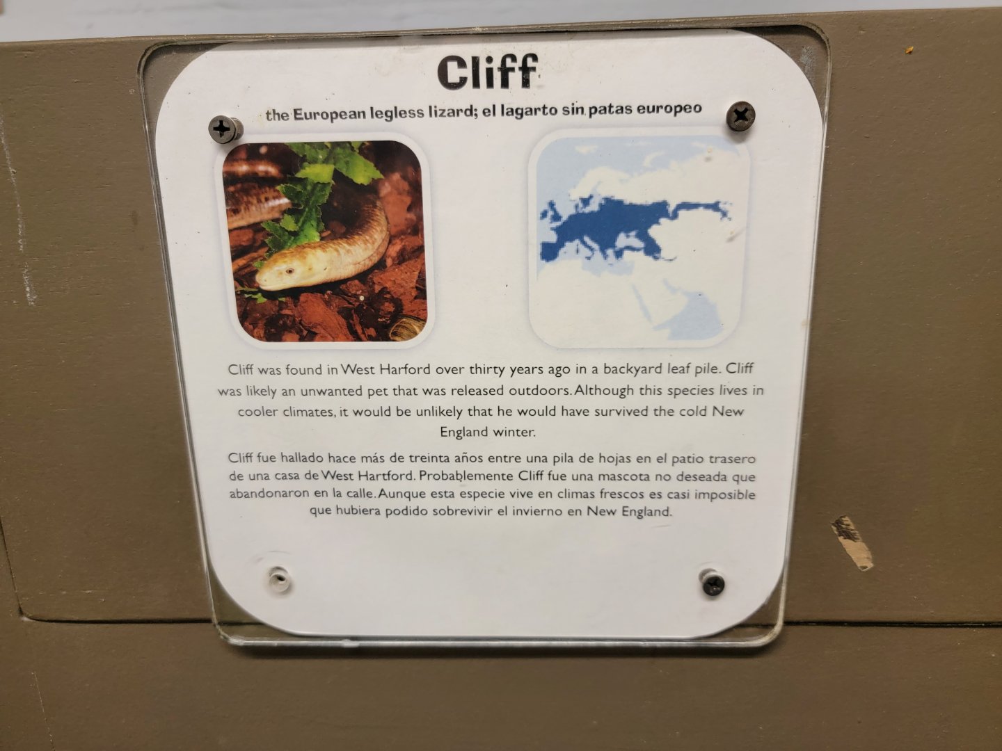 Children's Museum CT - Lizard Lair signage example