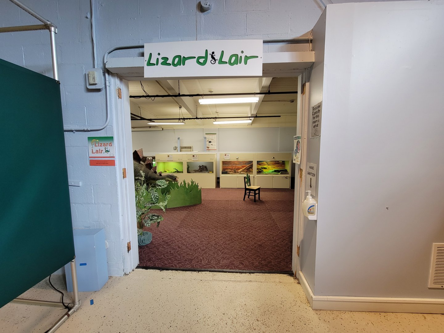 Children's Museum CT - Lizard Lair