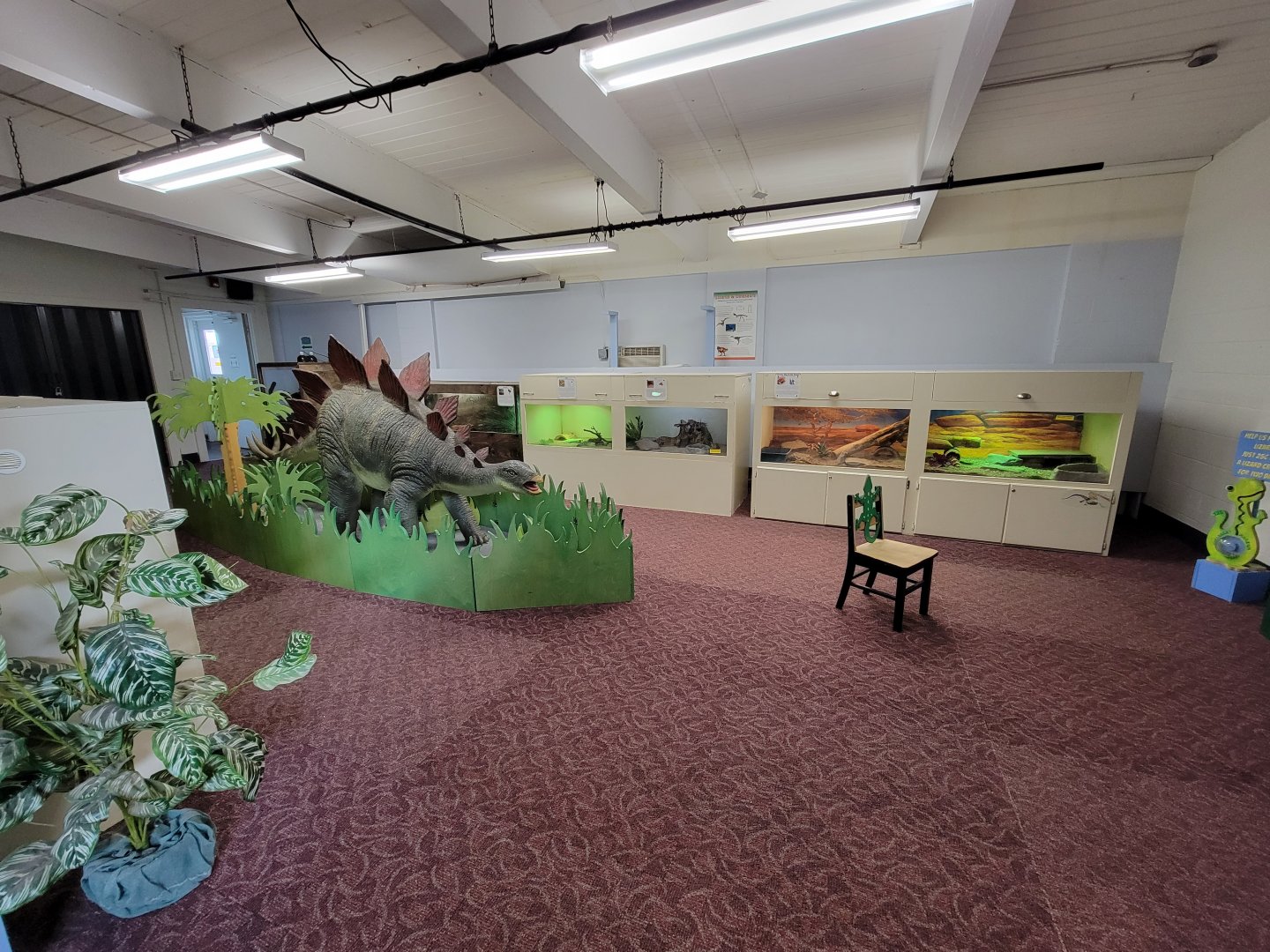 Children's Museum CT - Lizard Lair