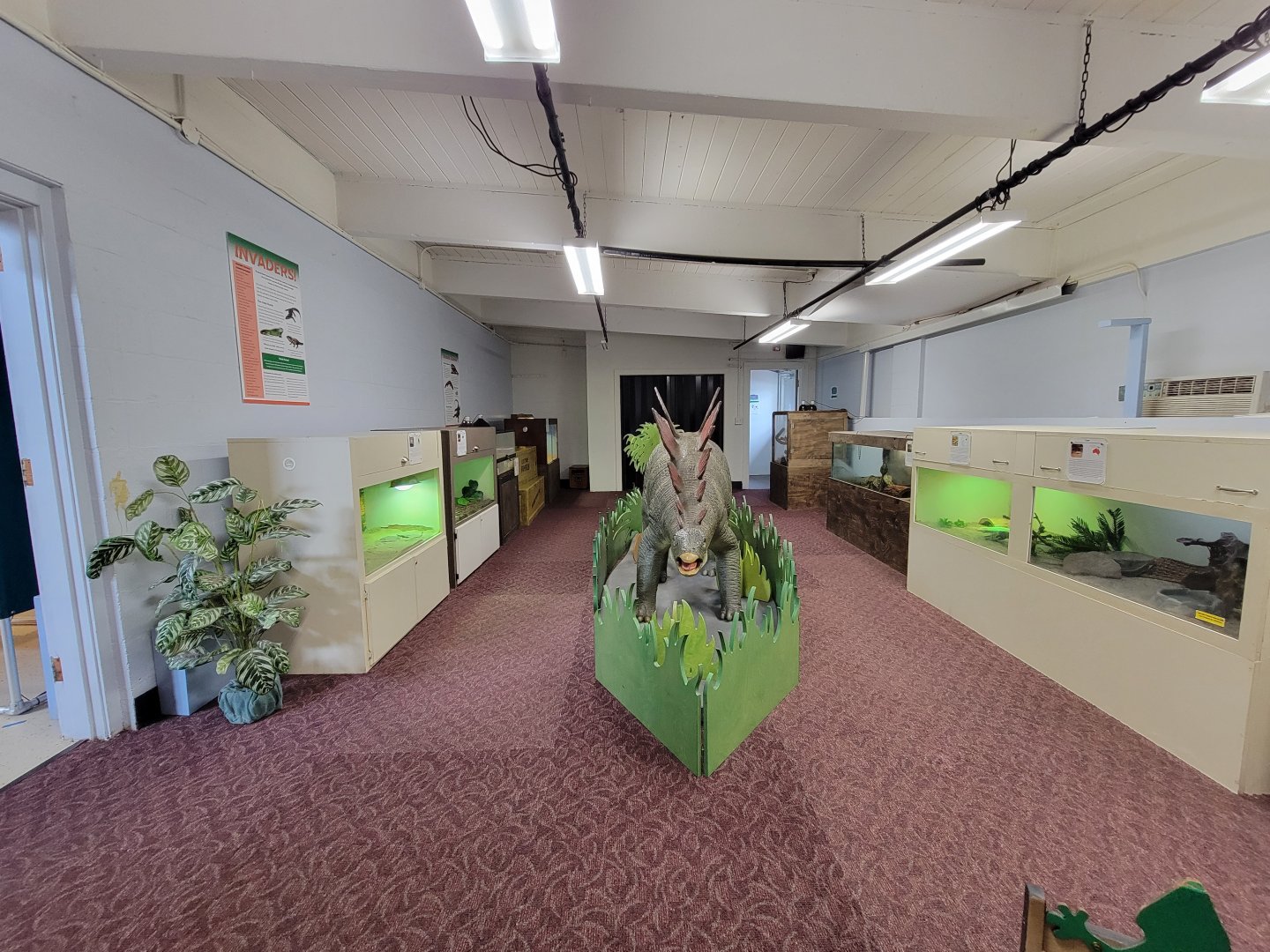 Children's Museum CT - Lizard Lair