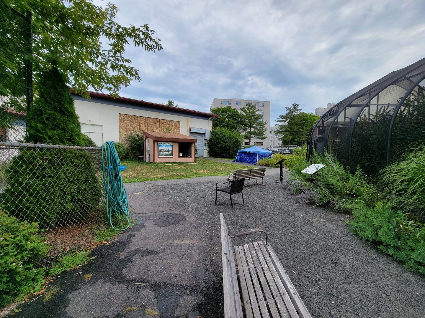 Children's Museum CT - outside, alligator snapping turtle straight ahead