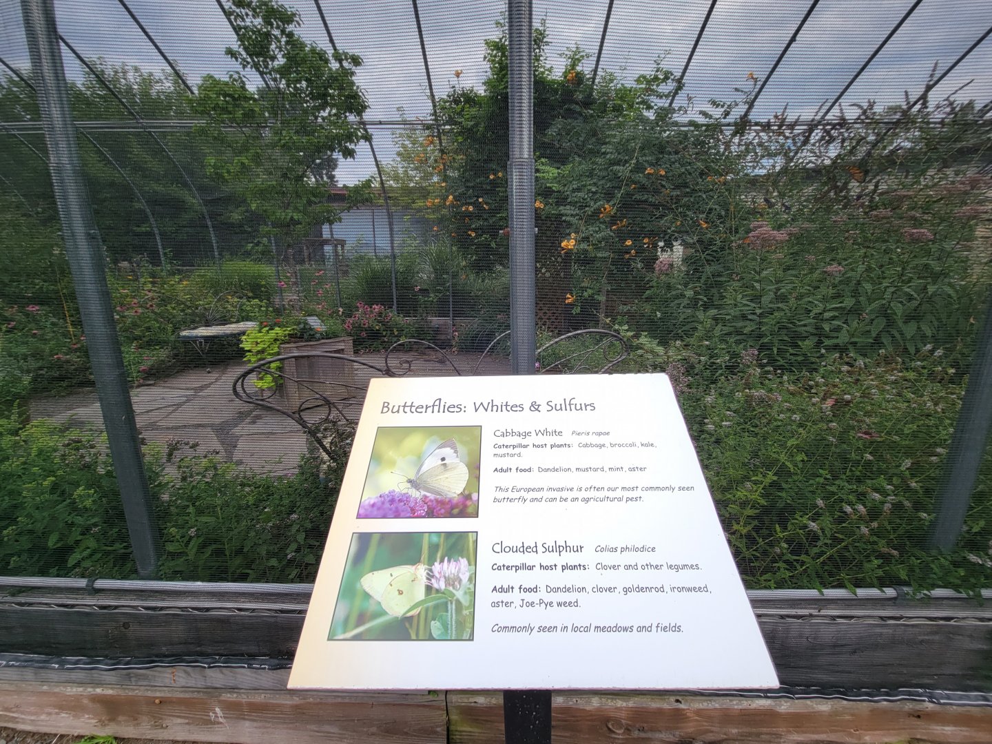 Children's Museum CT - Outside of butterfly building