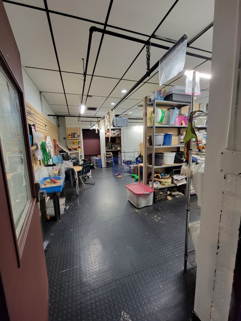 Children's Museum CT - Wildlife Sanctuary another BTS room