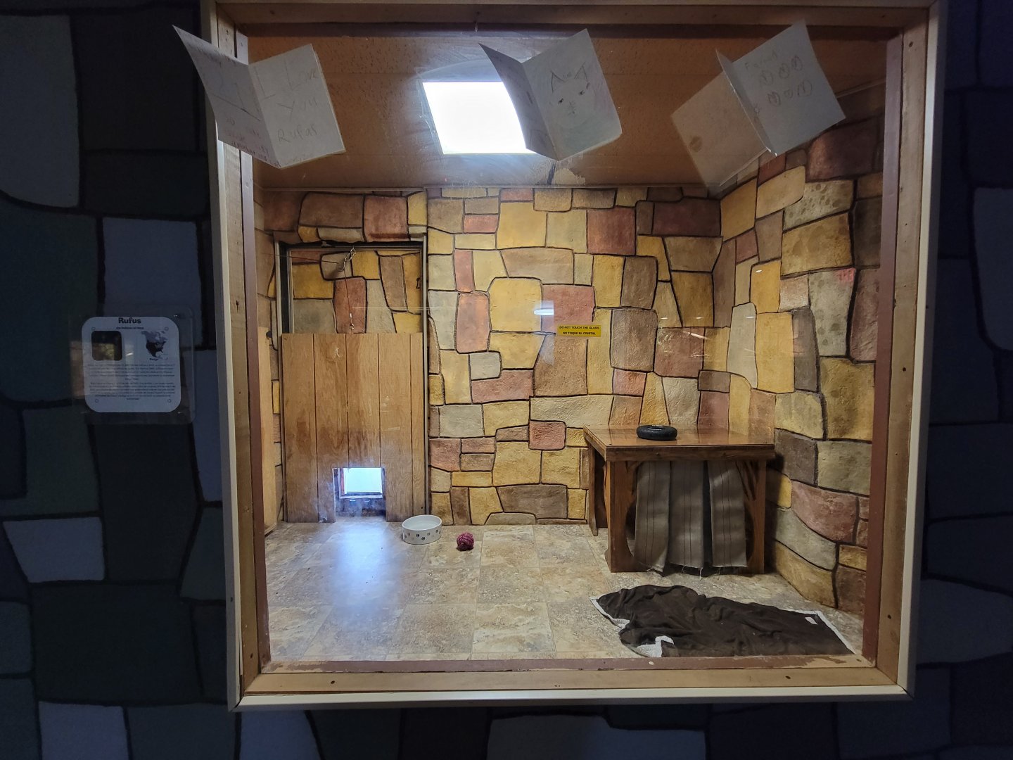 Children's Museum CT - Wildlife Sanctuary bobcat indoor area