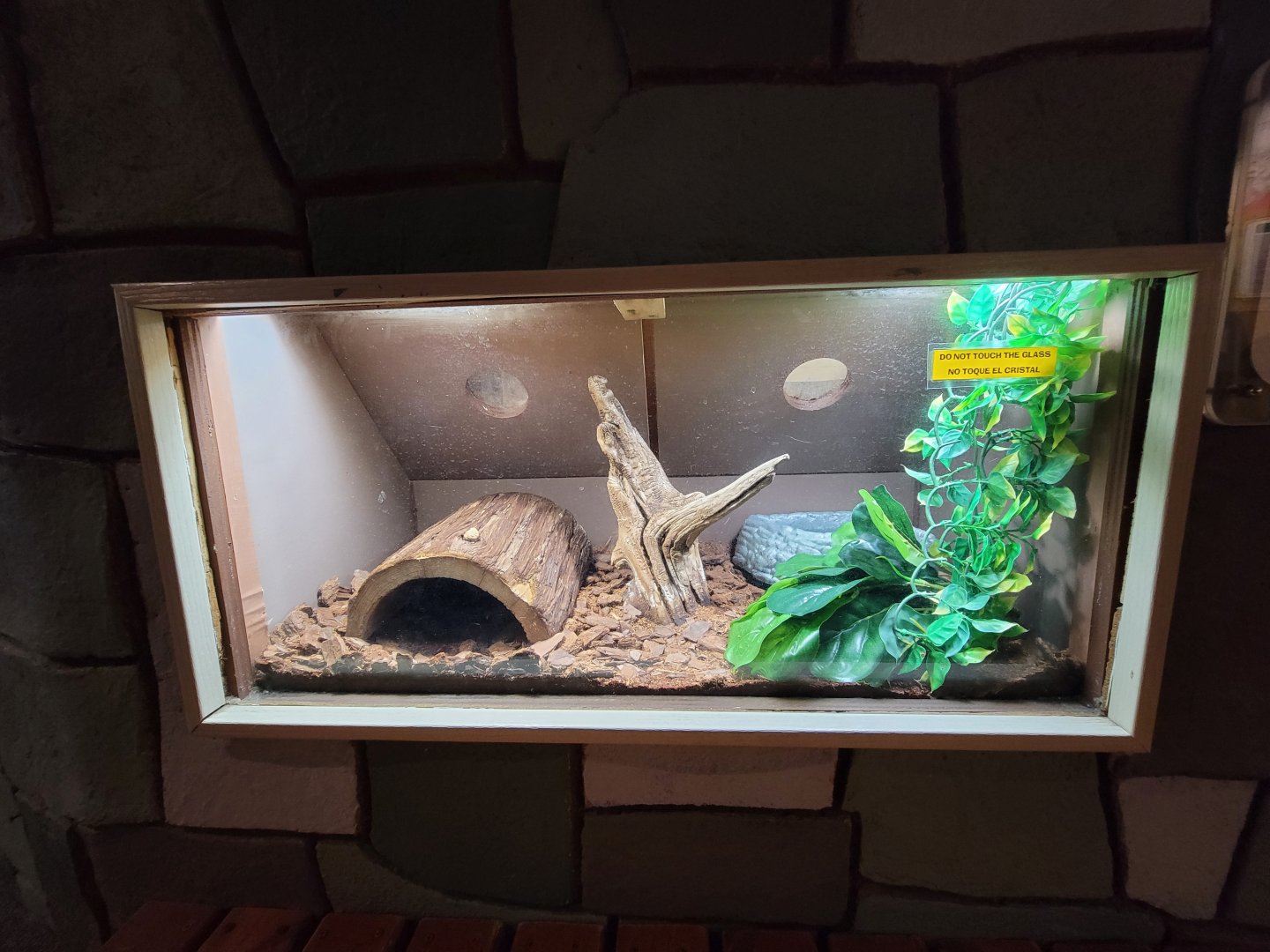 Children's Museum CT - Wildlife Sanctuary Brazilian rainbow boa