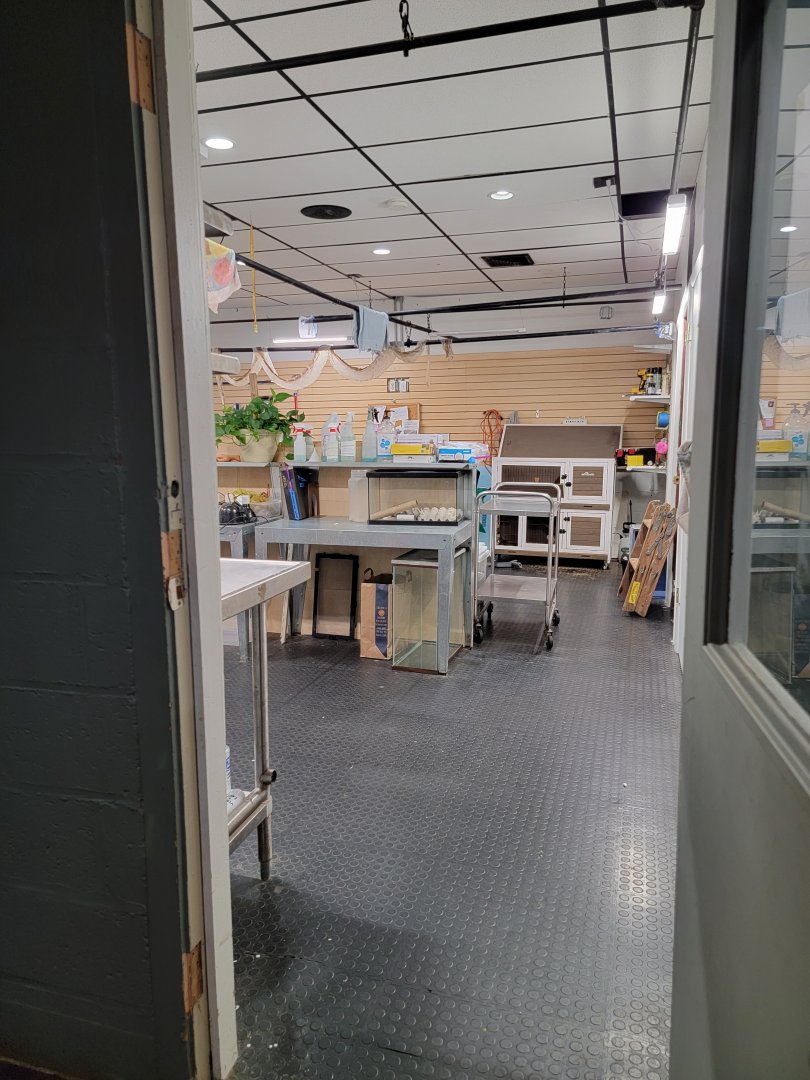 Children's Museum CT - Wildlife Sanctuary BTS room