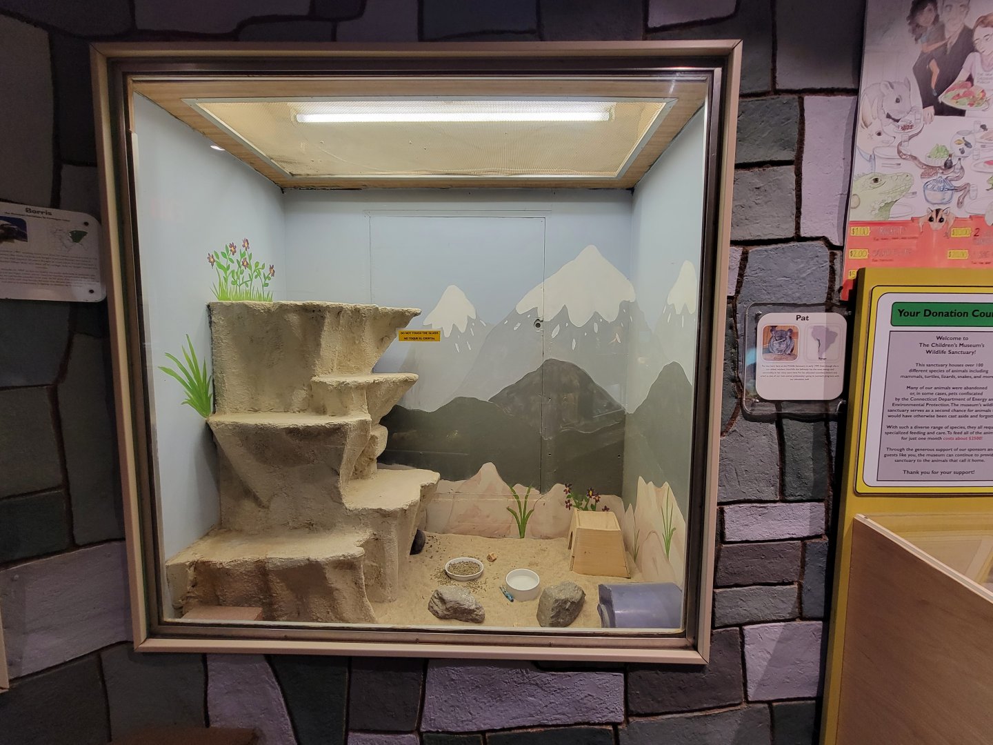 Children's Museum CT - Wildlife Sanctuary chinchillas