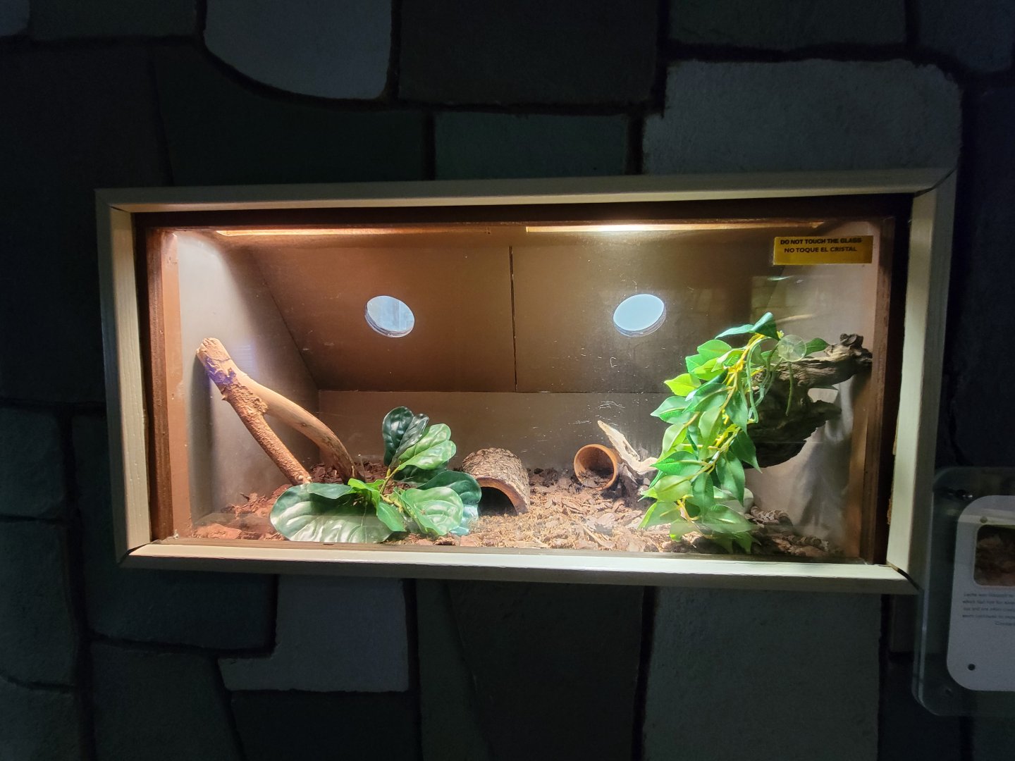 Children's Museum CT - Wildlife Sanctuary eastern milk snake