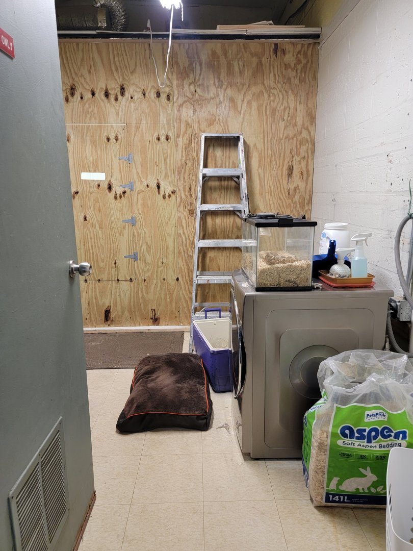 Children's Museum CT - Wildlife Sanctuary laundry room