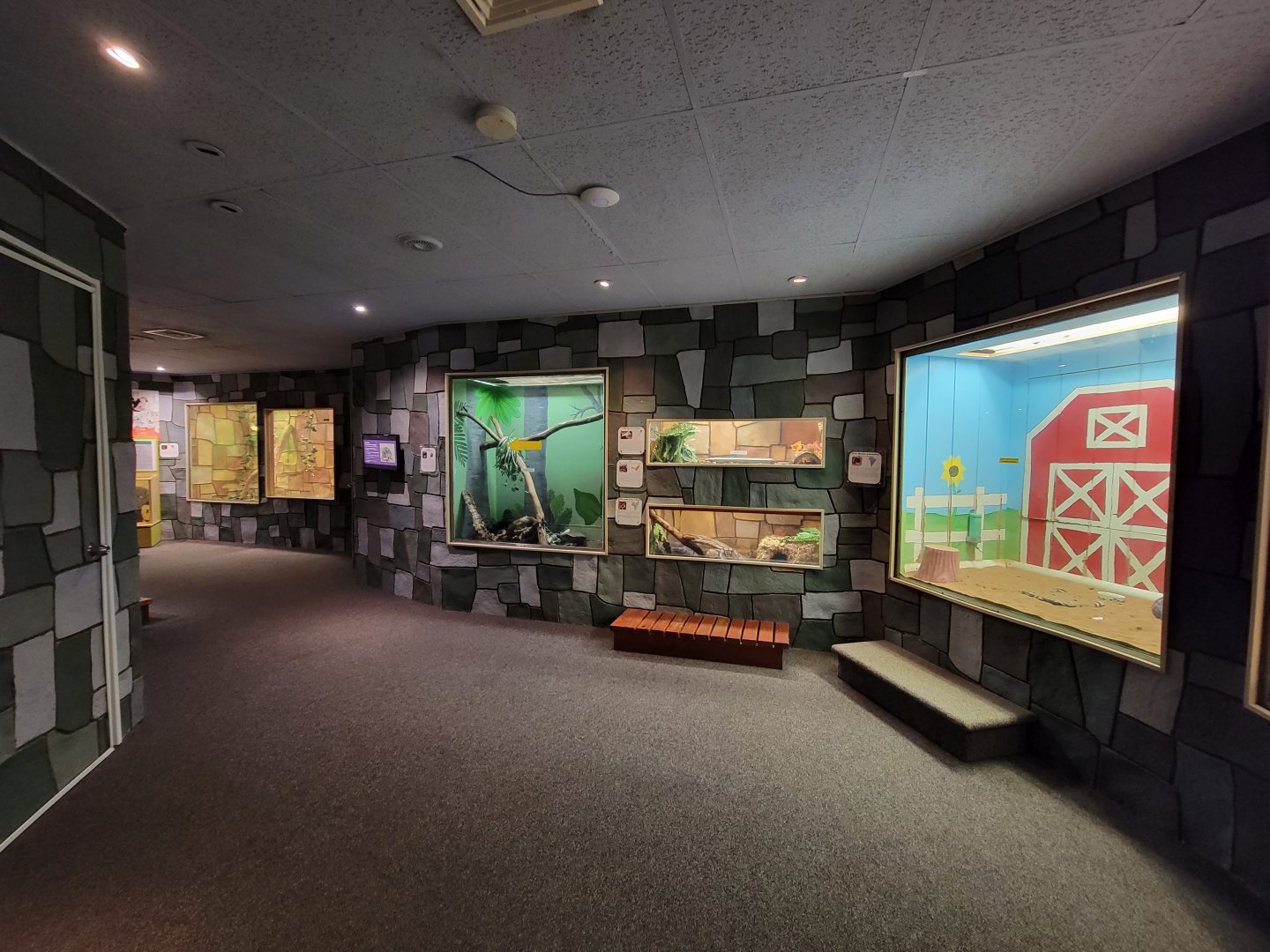 Children's Museum CT - Wildlife Sanctuary looking back at snake exhibits