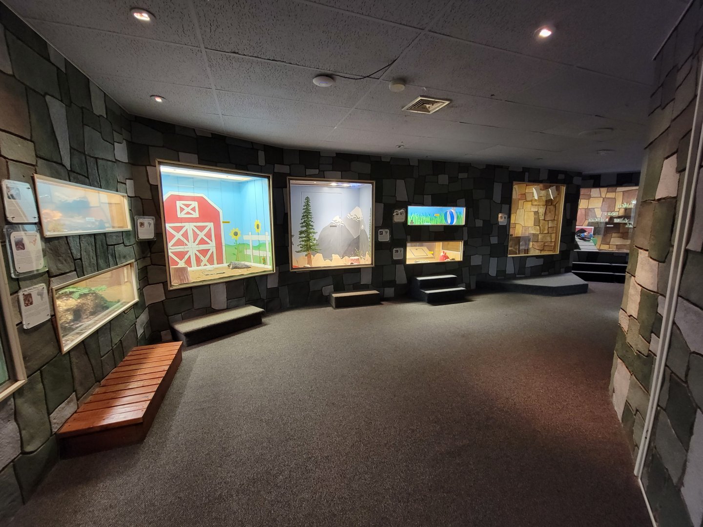 Children's Museum CT - Wildlife Sanctuary path