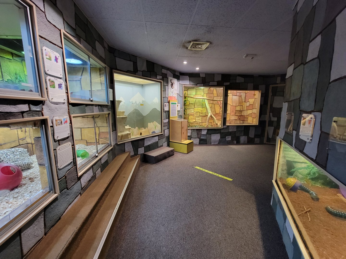 Children's Museum CT - Wildlife Sanctuary pathway