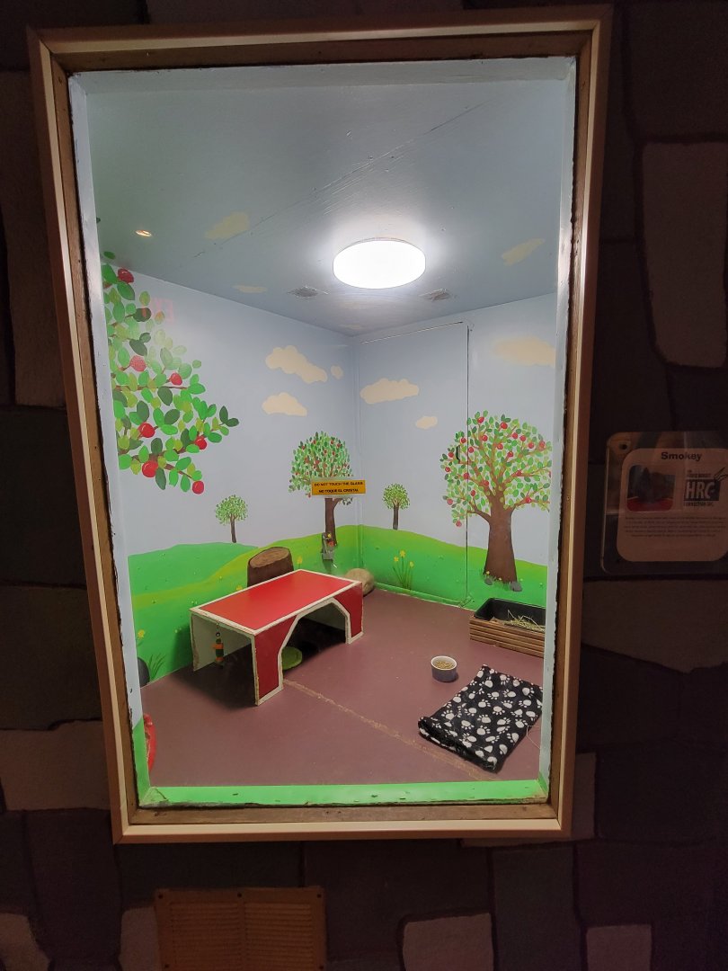 Children's Museum CT - Wildlife Sanctuary rabbits