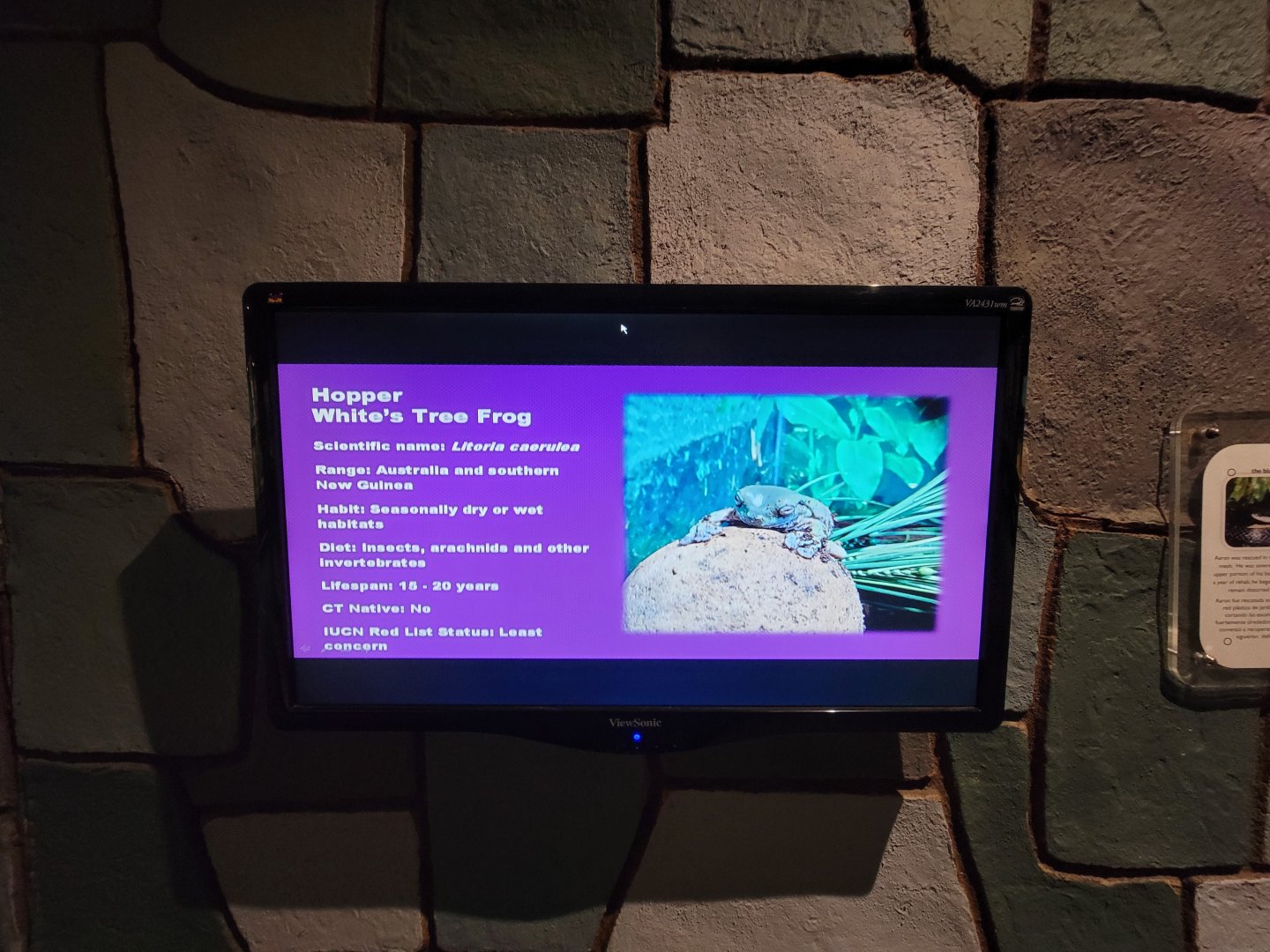 Children's Museum CT - Wildlife Sanctuary random electronic sign with all (?) the species