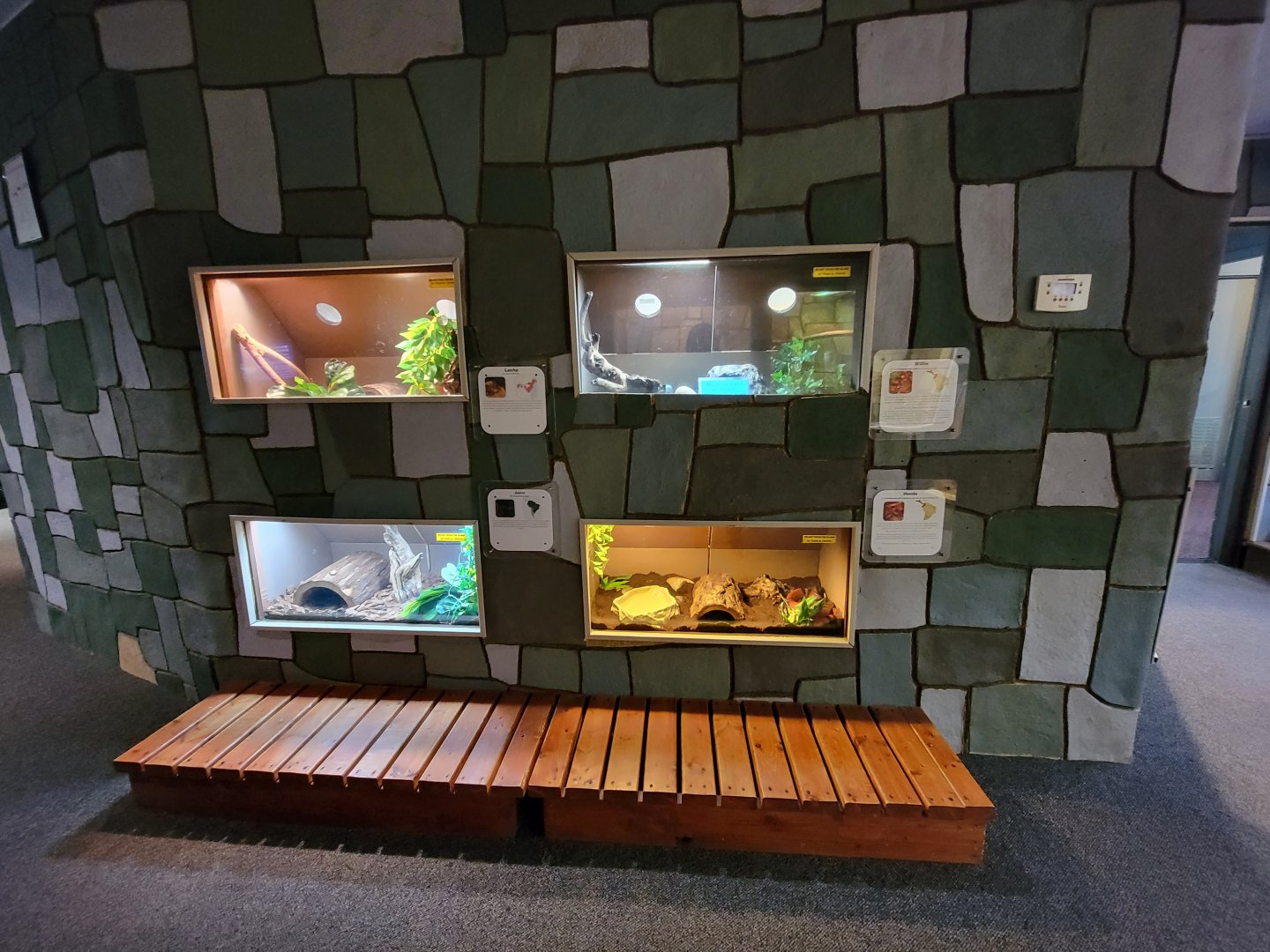 Children's Museum CT - Wildlife Sanctuary small snakes