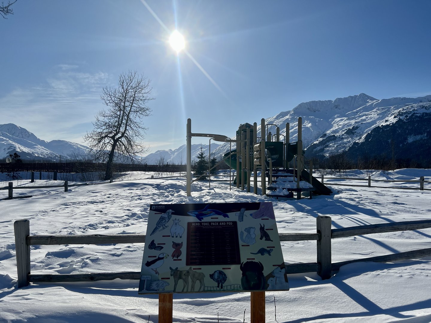 Children’s Playground