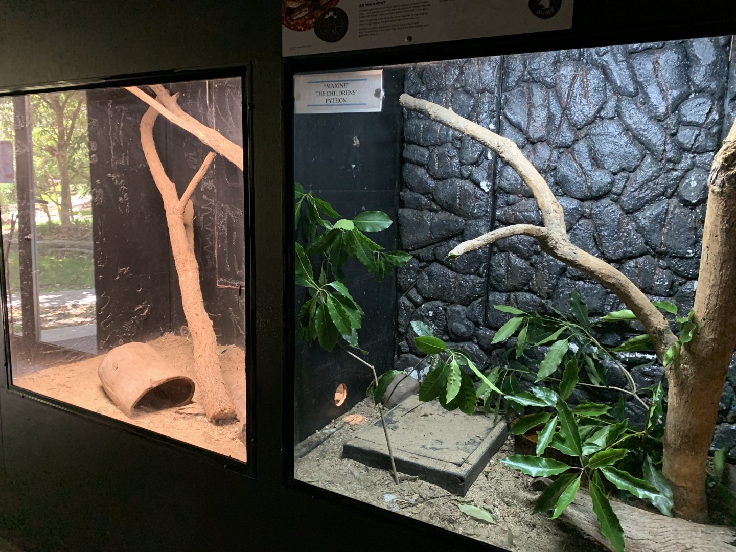 Children’s Python Exhibit (Potoroo Palace)