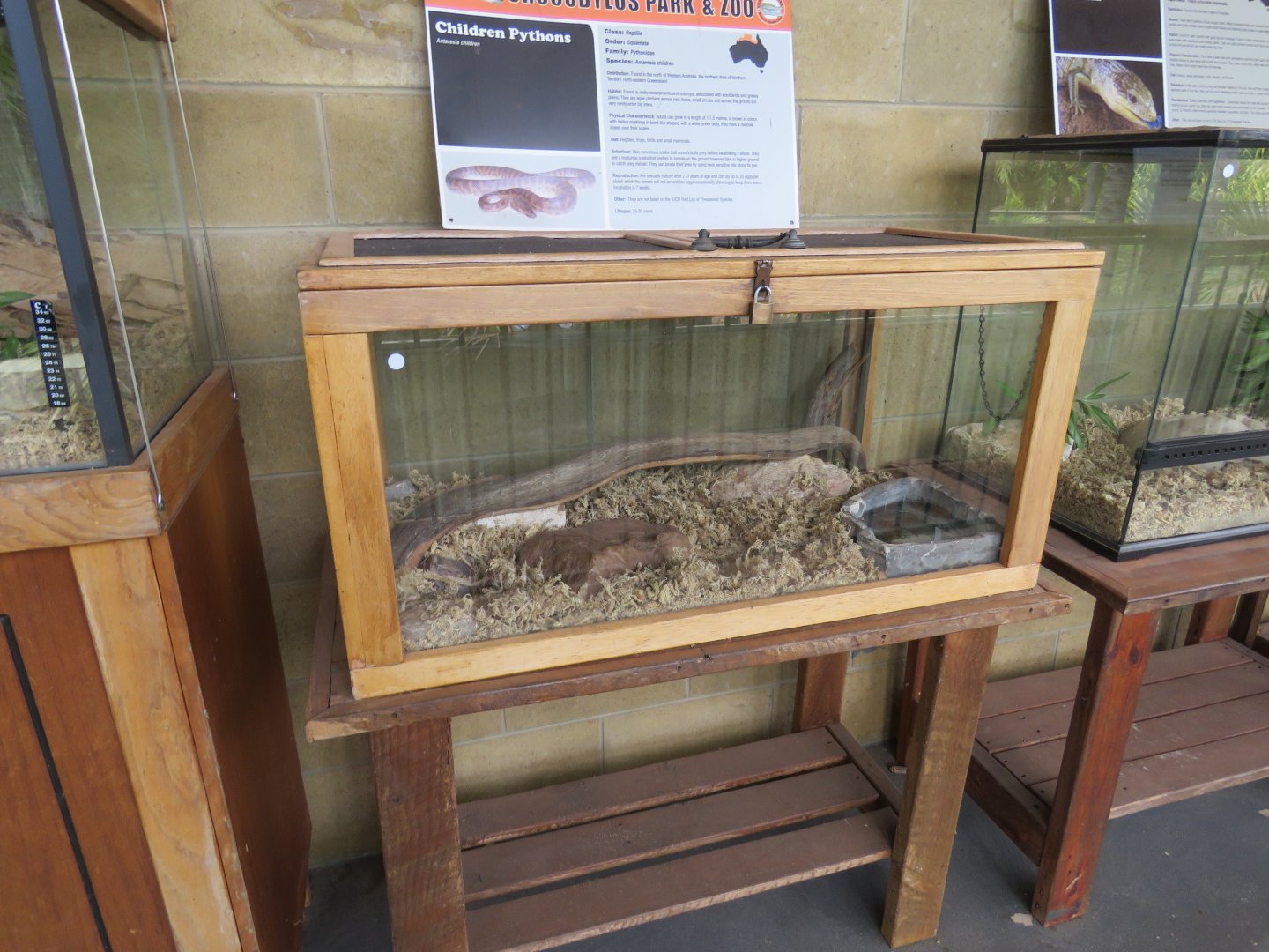 Children's Python Exhibit