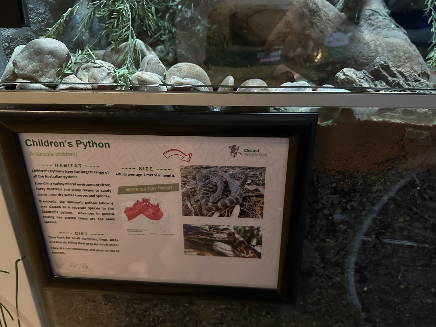 Children’s python signage