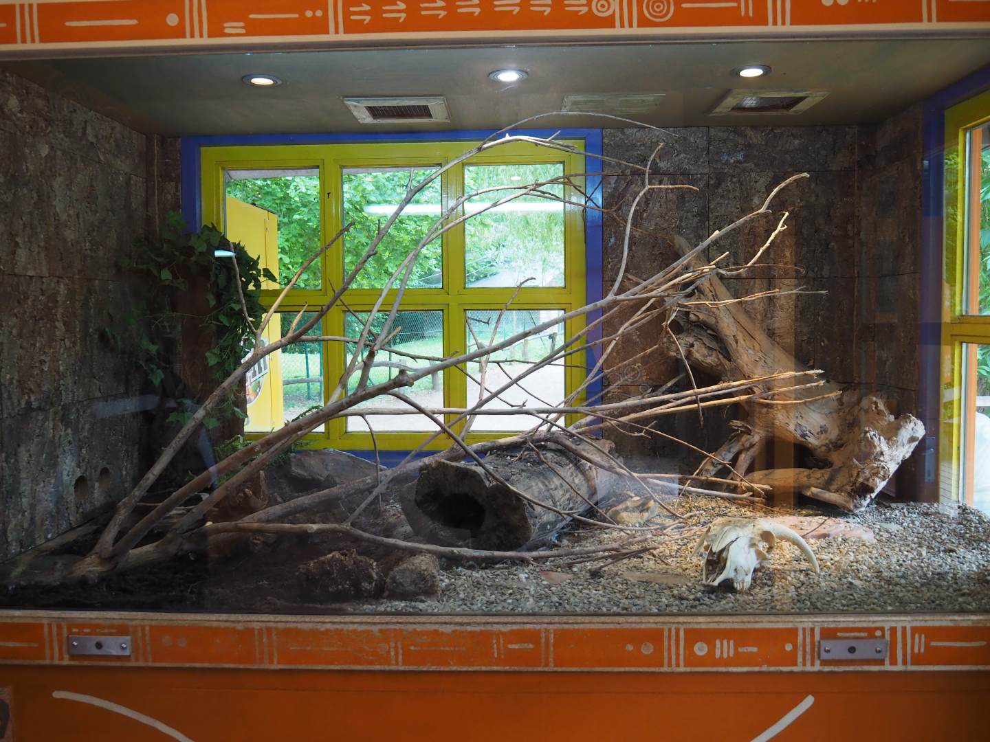 Children's python terrarium, 2020-05-23