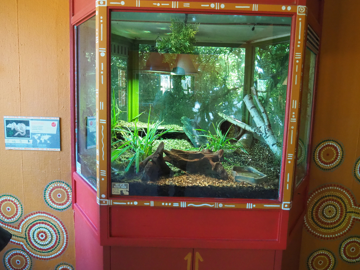 Children's python terrarium, 2022-06-15