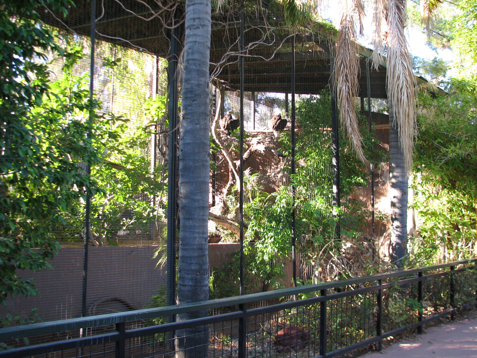 Childrens Trail - Bald Eagle Exhibit