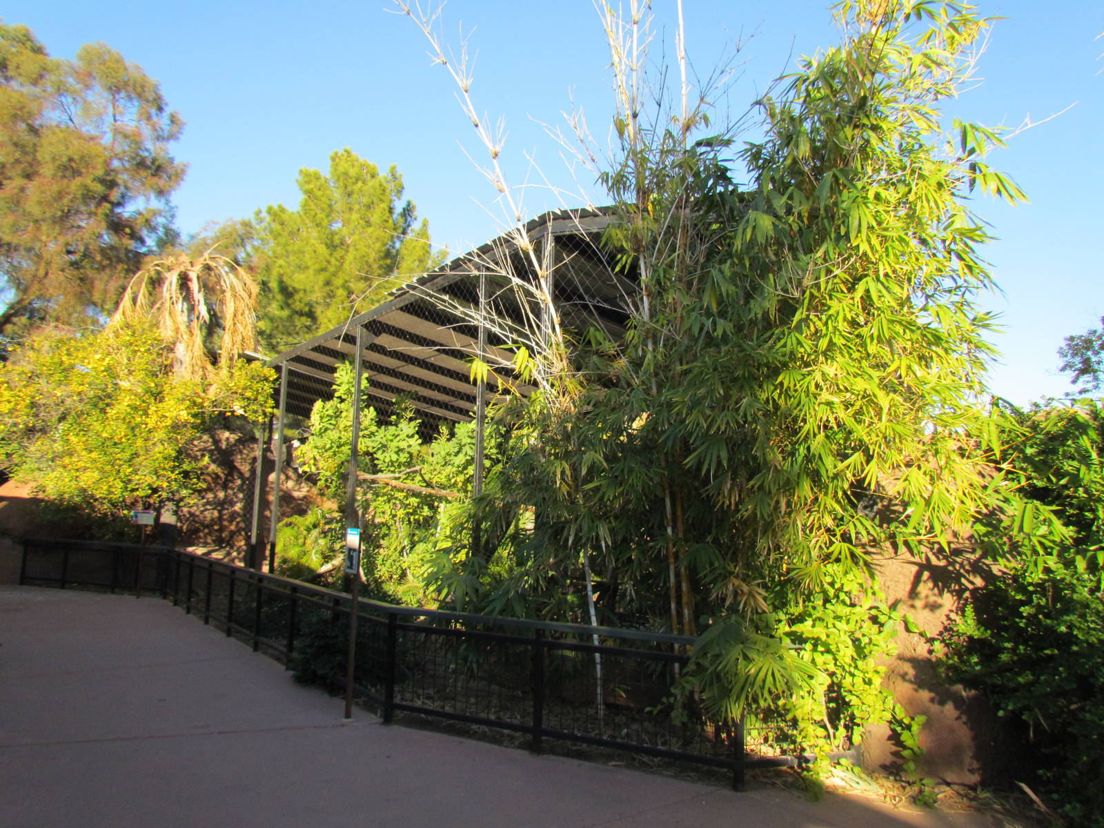 Children's Trail - Bald Eagle Exhibit