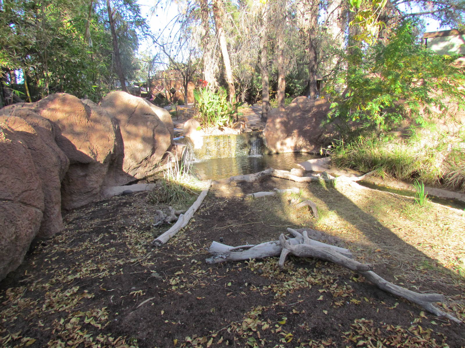 Children's Trail - Black Swan Exhibit