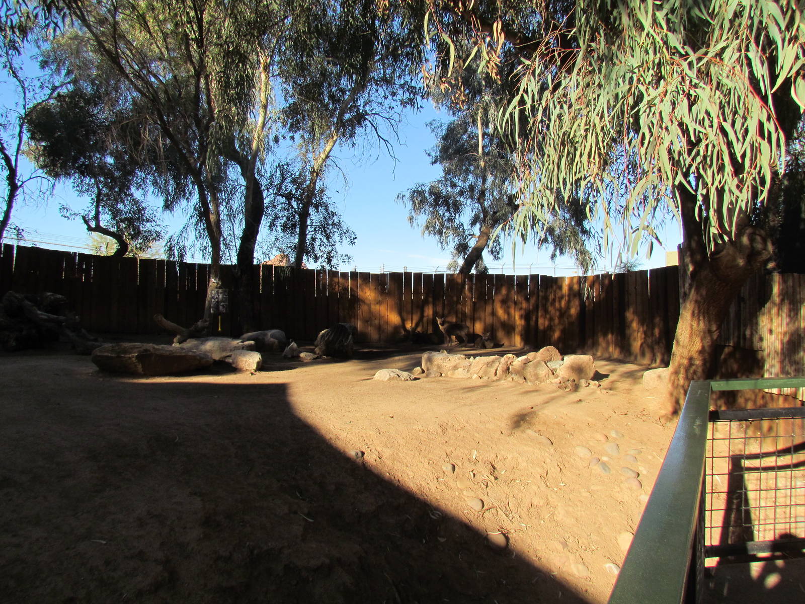 Children's Trail - Calamian Deer Exhibit