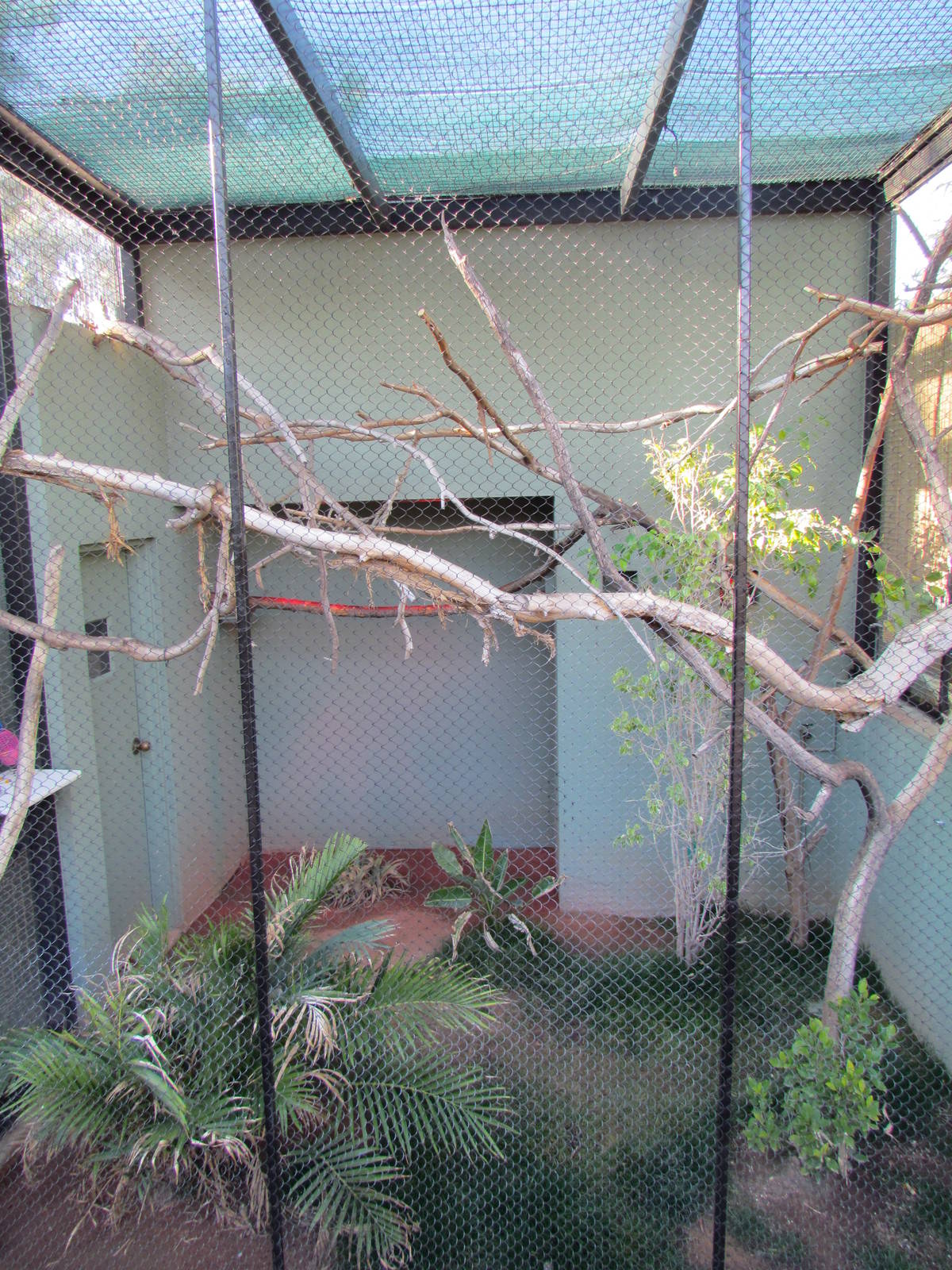 Children's Trail - Callitrichid Exhibits