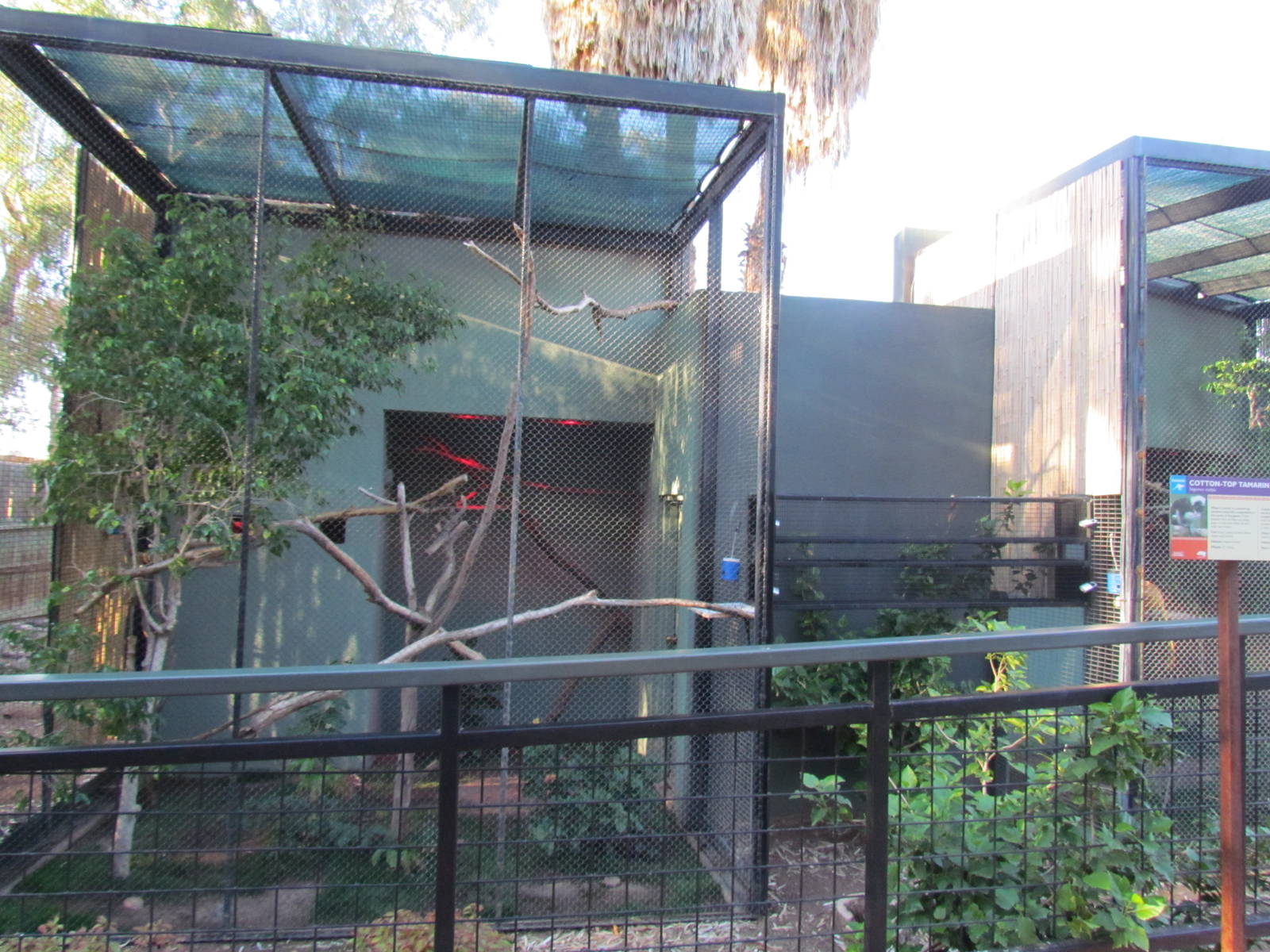 Children's Trail - Callitrichid Exhibits