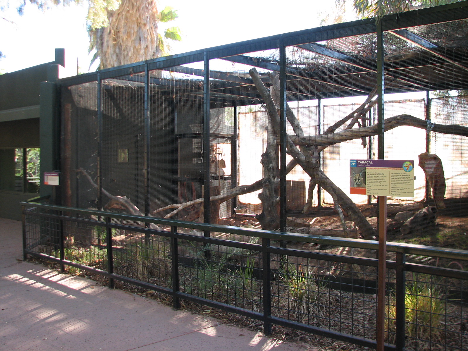 Childrens Trail - Caracal Exhibit