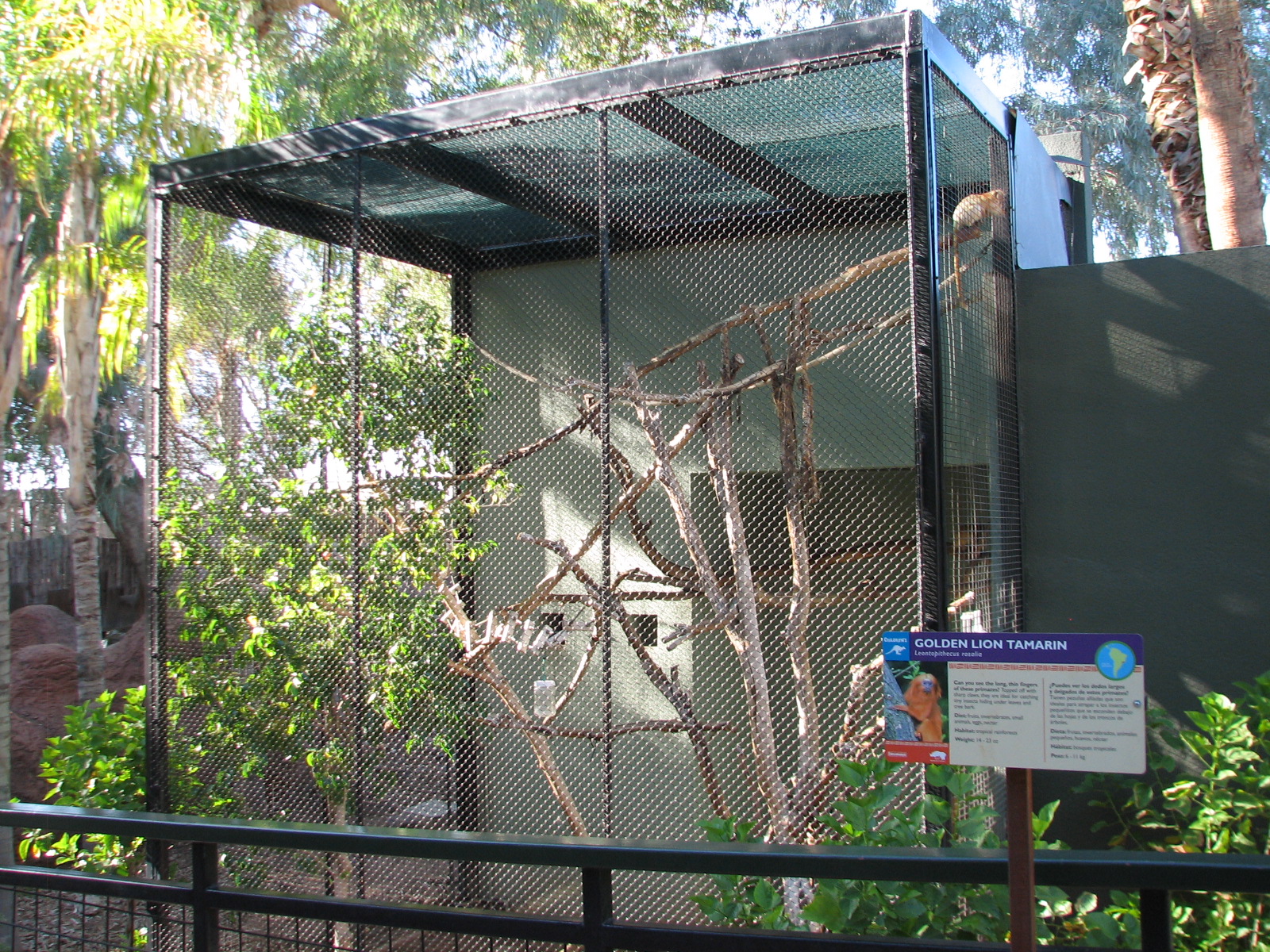 Childrens Trail - Golden Lion Tamarin Exhibit