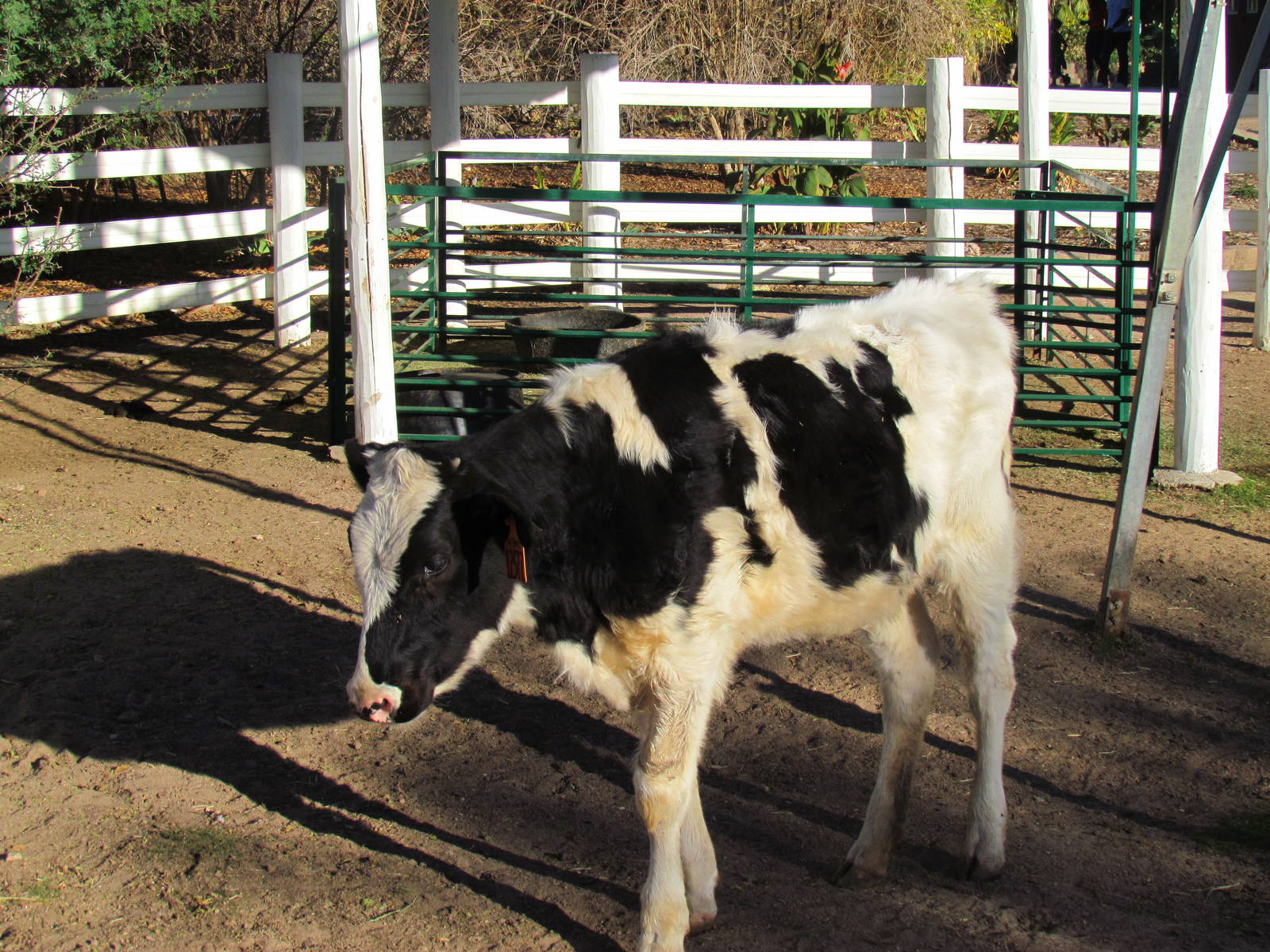 Children's Trail - Harmony Farm