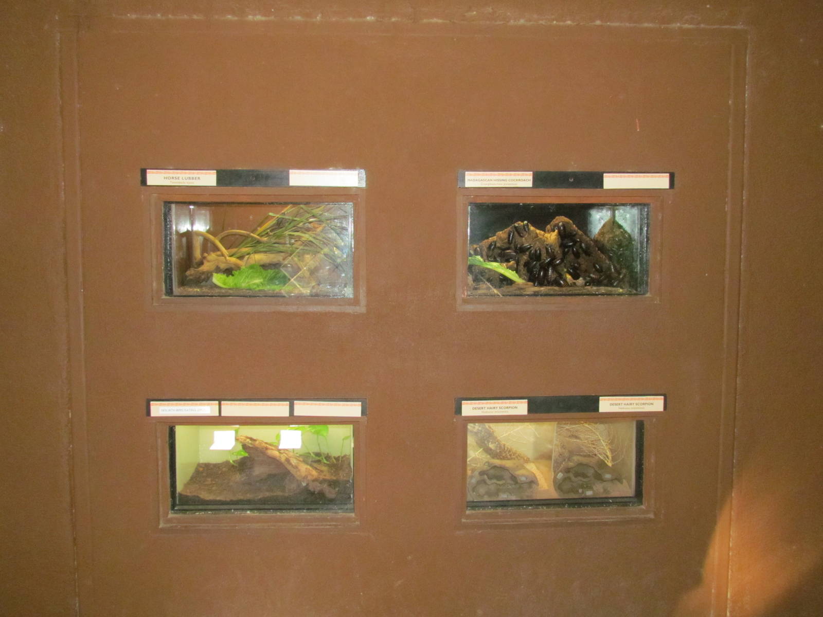 Children's Trail - Invertebrate Exhibits
