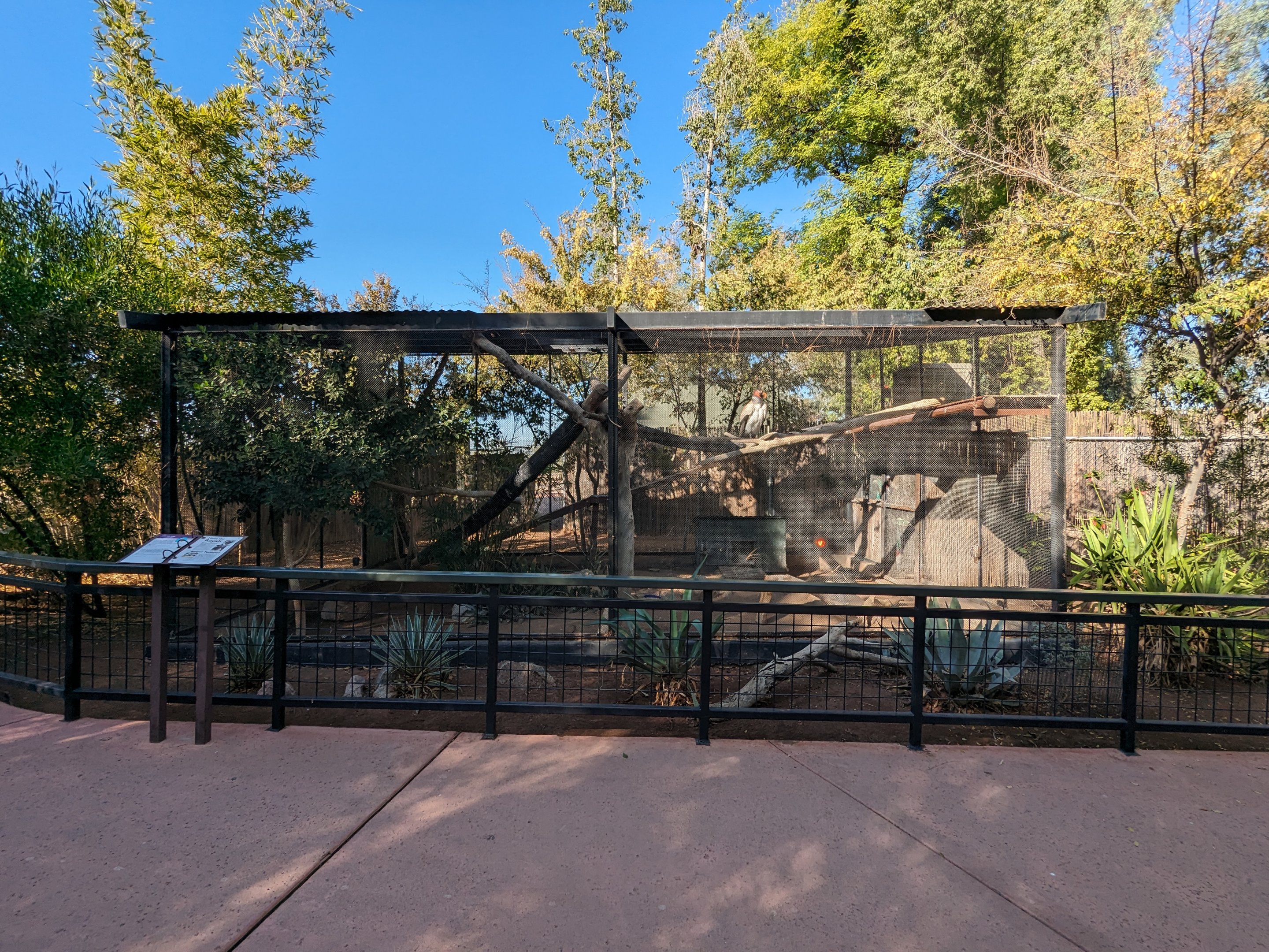 Children's Trail - king vulture aviary