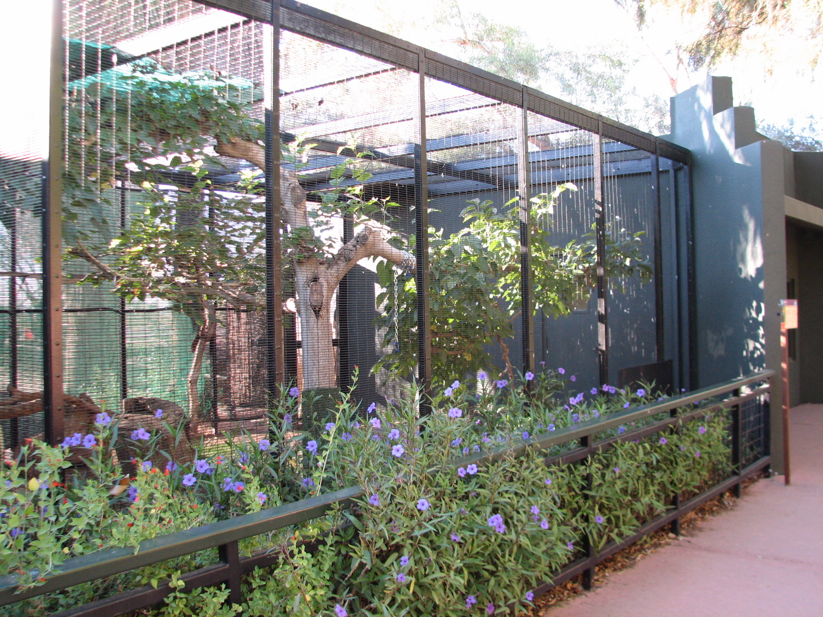 Childrens Trail - Ocelot Exhibit