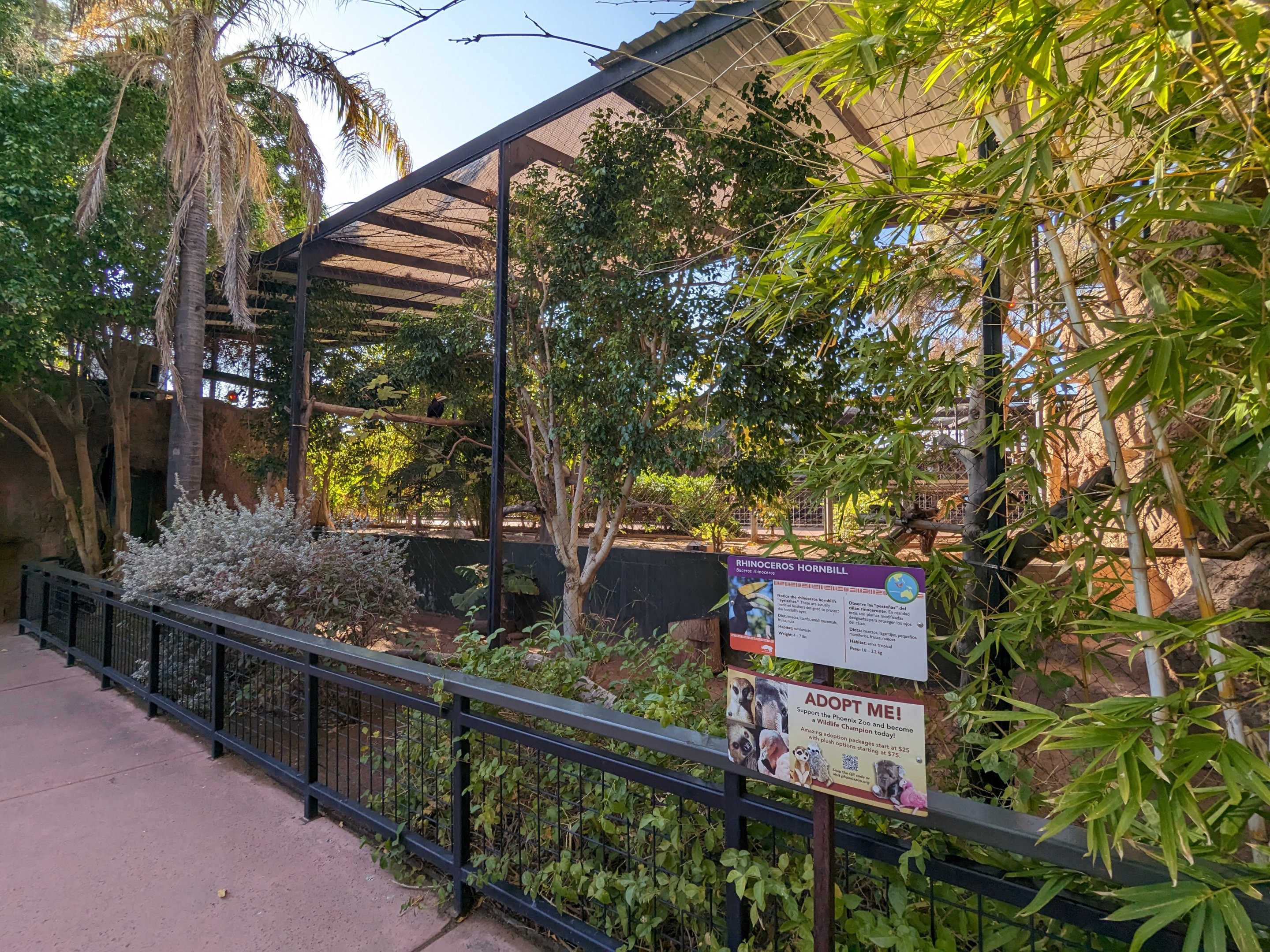 Children's Trail - Rhinoceros hornbill aviary