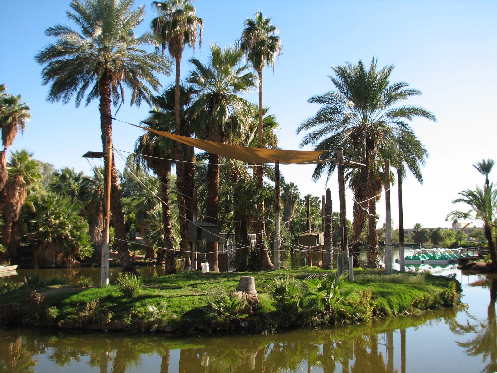 Childrens Trail - Siamang Exhibit
