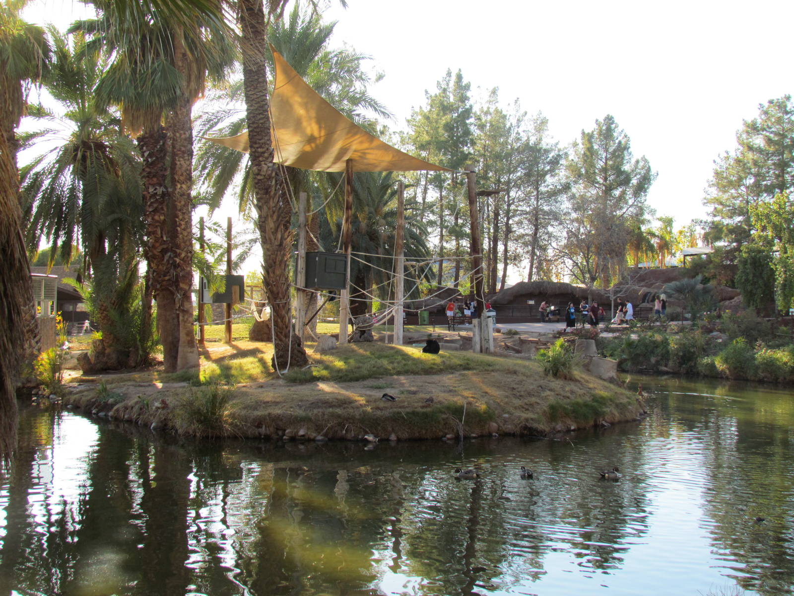 Children's Trail - Siamang Exhibit