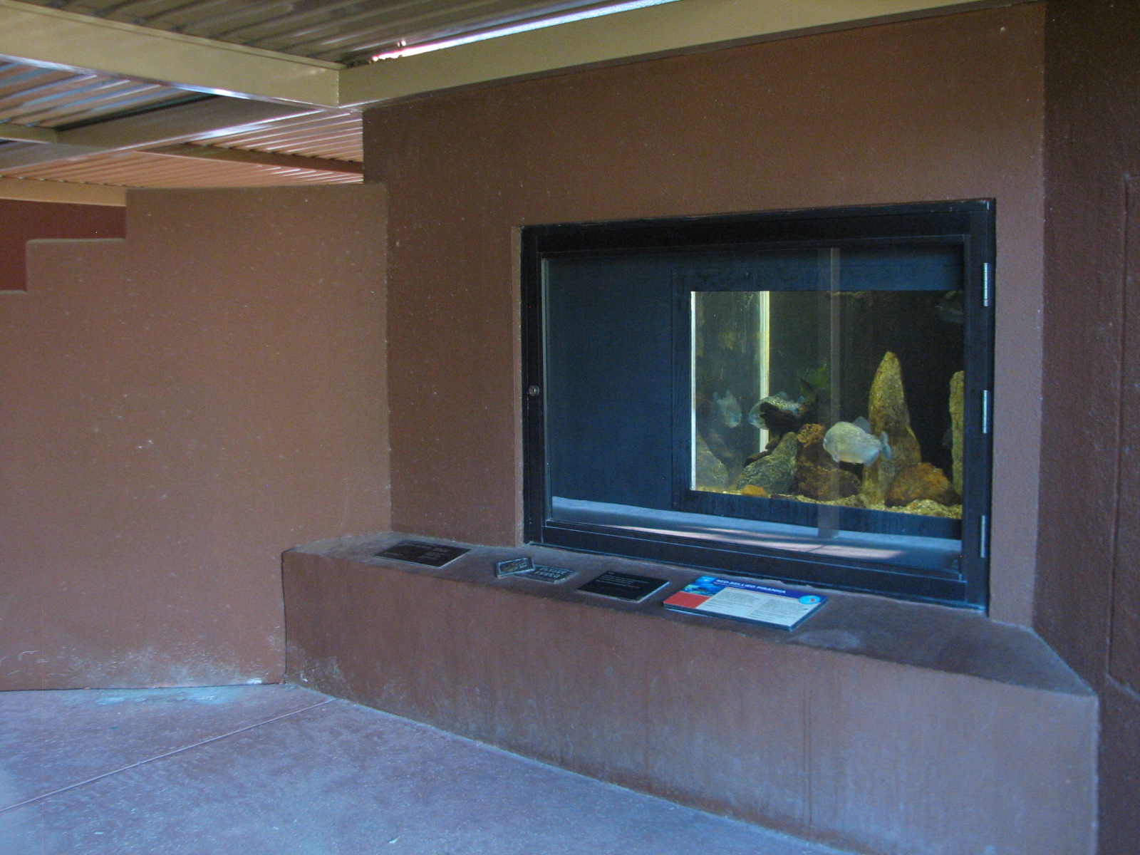 Childrens Trail - Small Wonders Exhibits