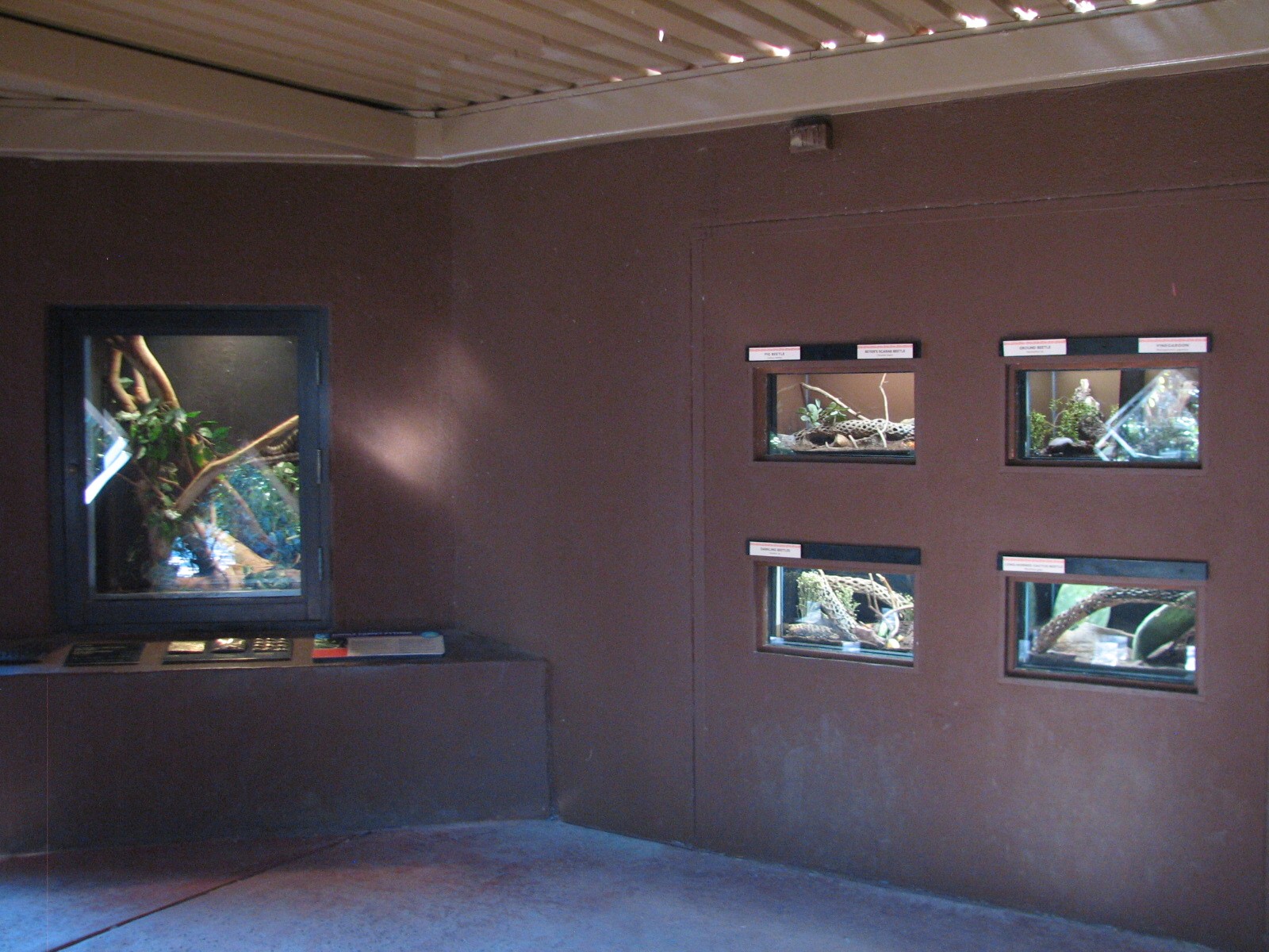 Childrens Trail - Small Wonders Exhibits