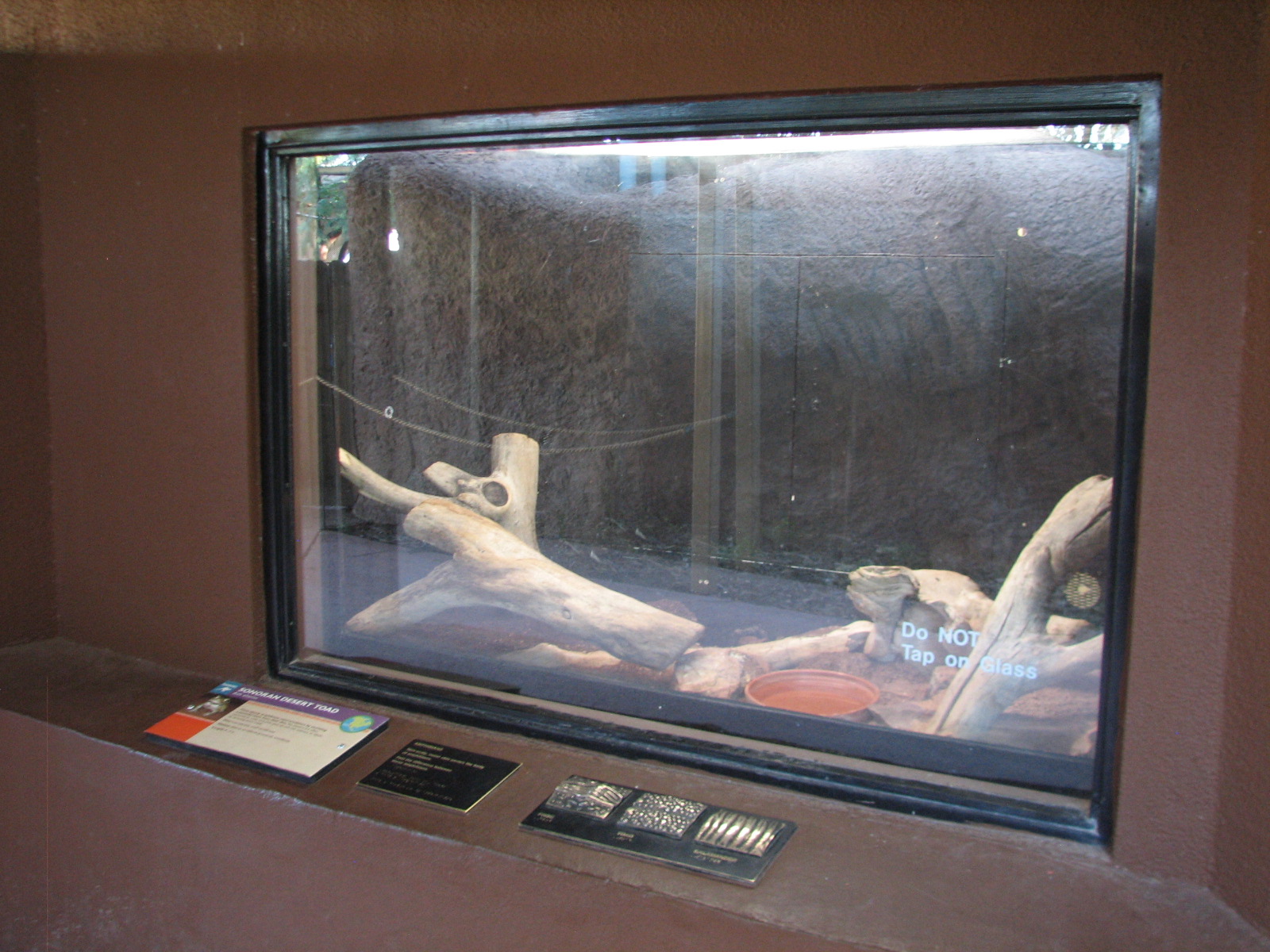 Childrens Trail - Small Wonders Exhibits