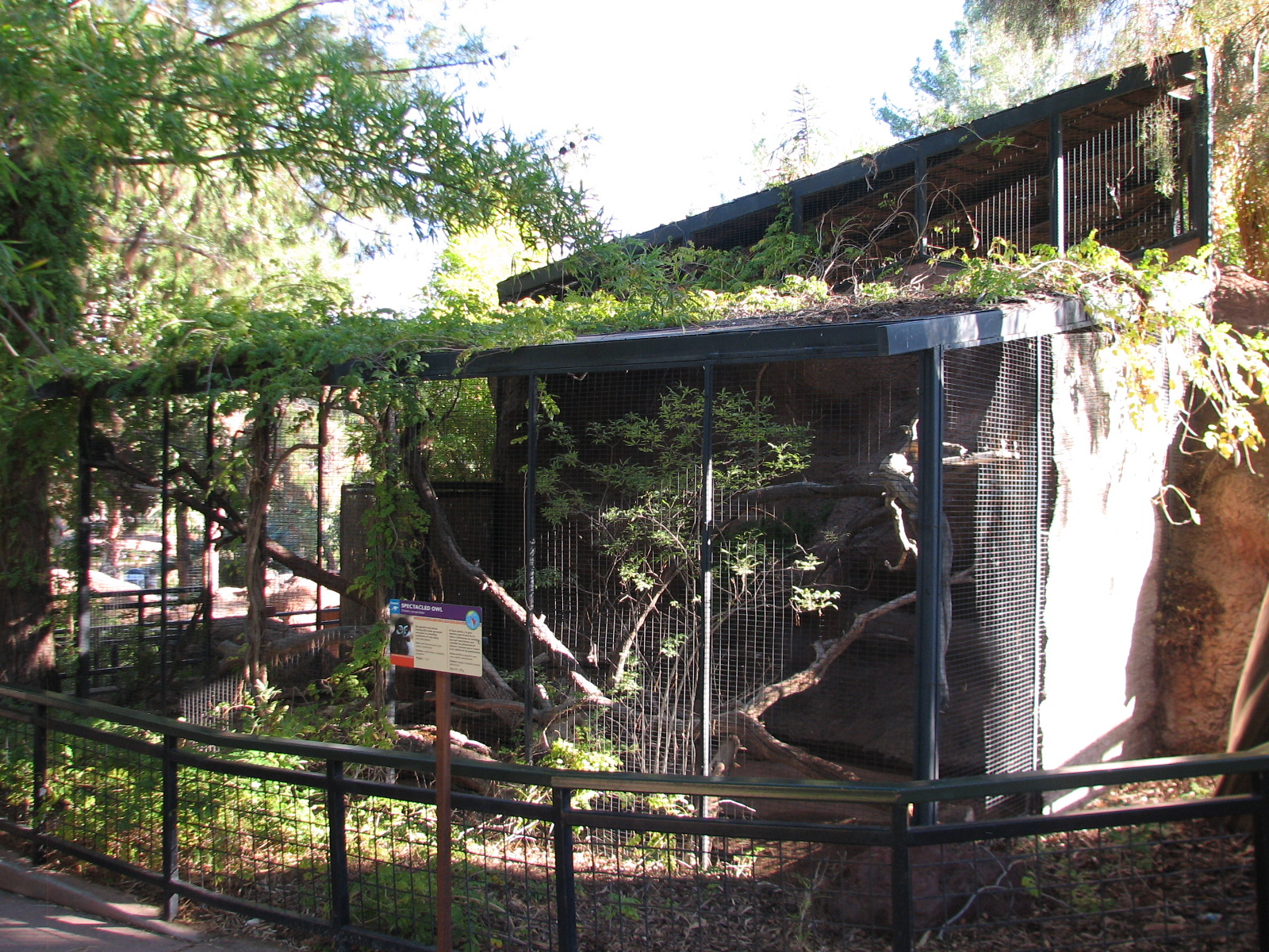 Childrens Trail - Spectacled Owl Exhibit