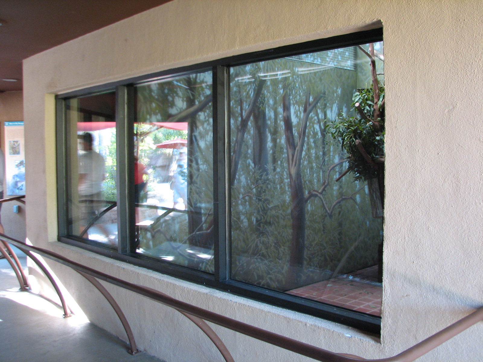 Childrens Trail - Temporary Koala Exhibit