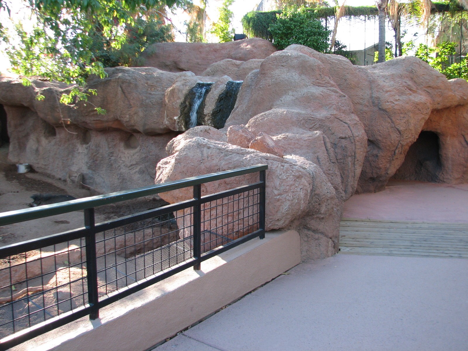 Childrens Trail - Visayan Warty Pig Exhibit Viewing Area