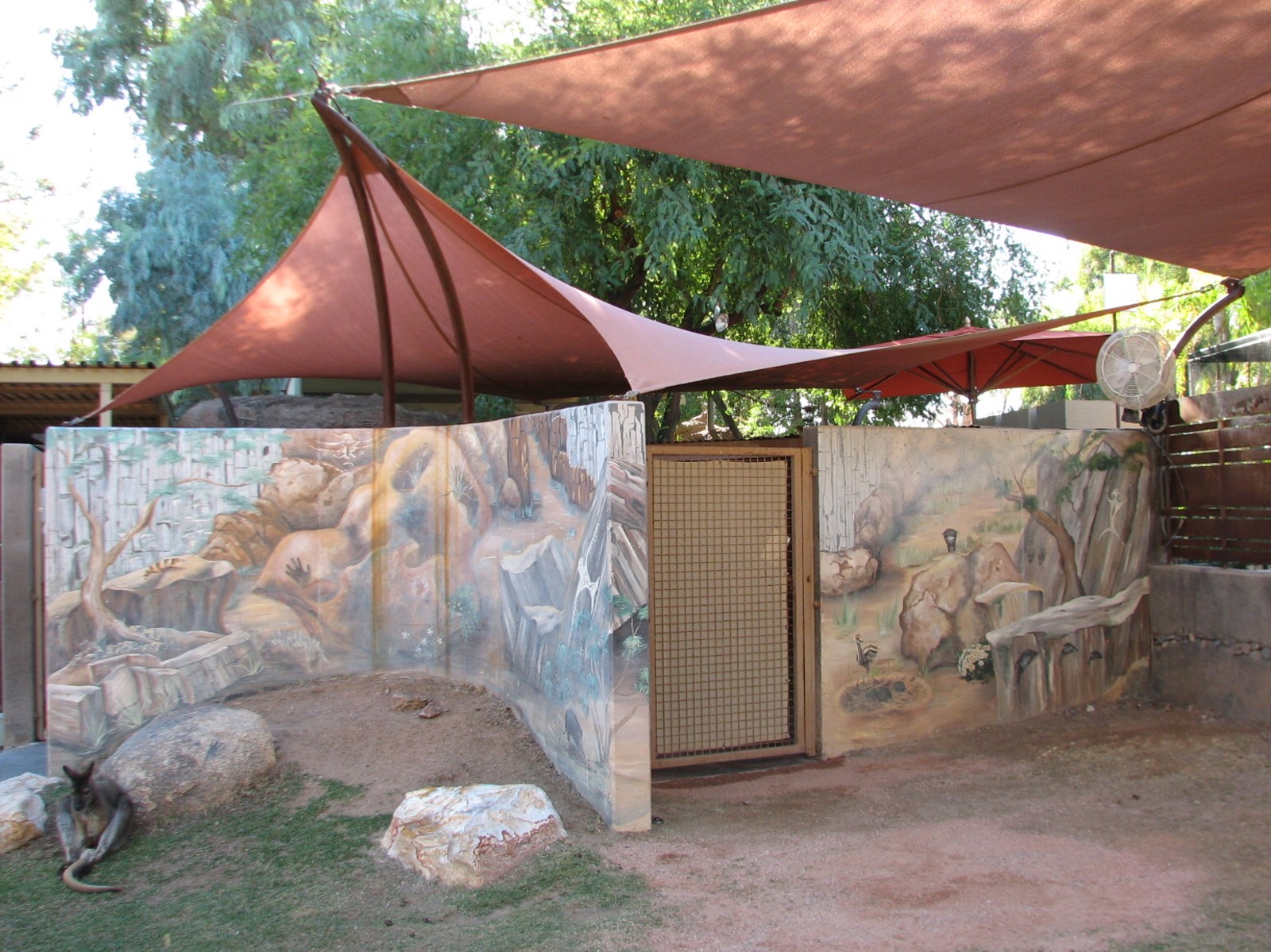 Childrens Trail - Wallaby Walkabout