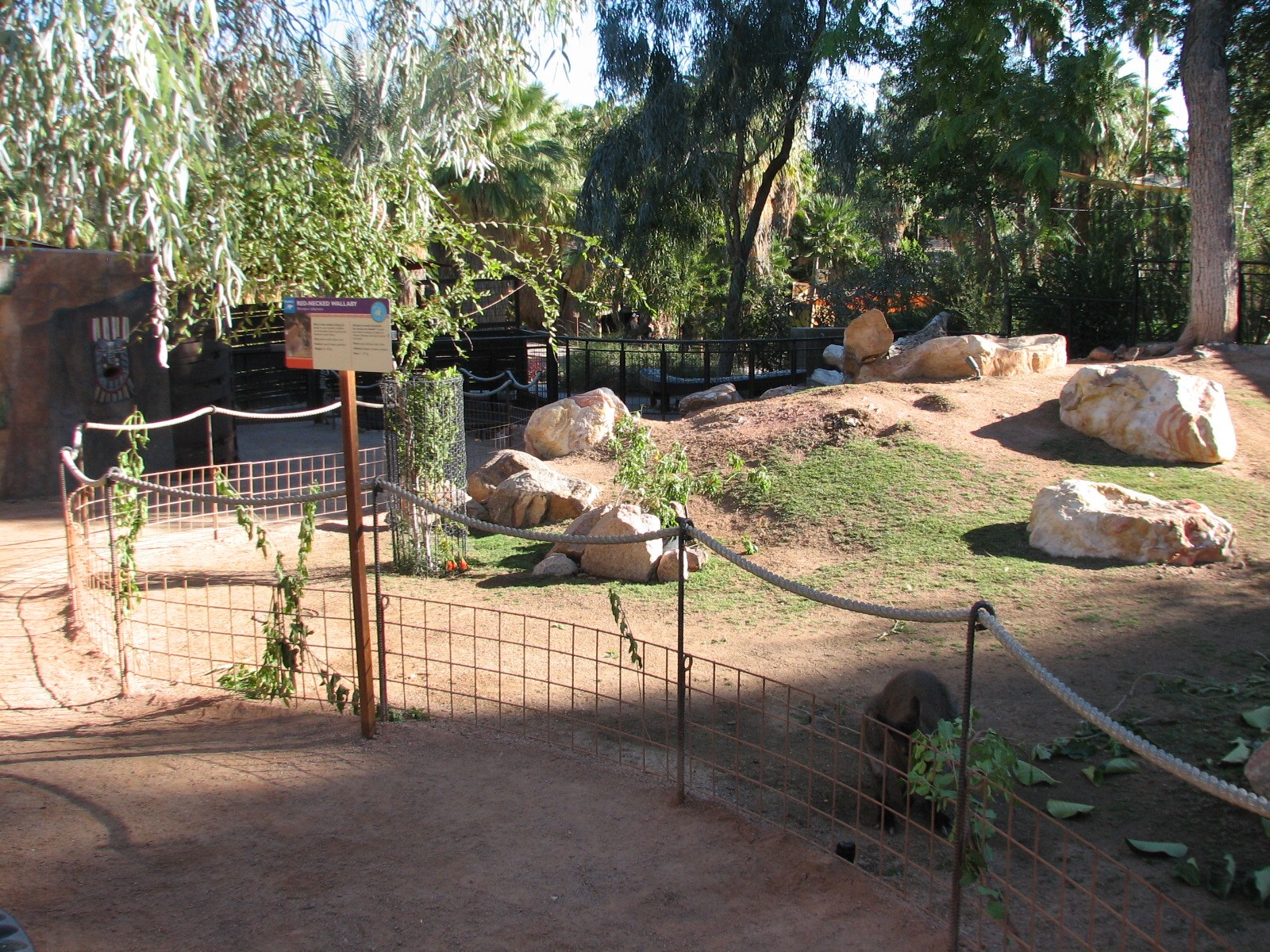 Childrens Trail - Wallaby Walkabout