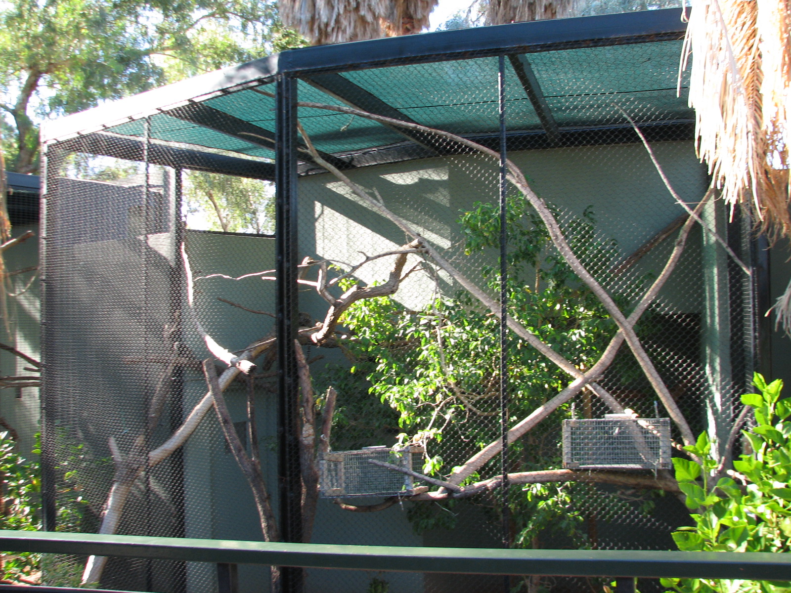 Childrens Trail - White-fronted Marmoset Exhibit