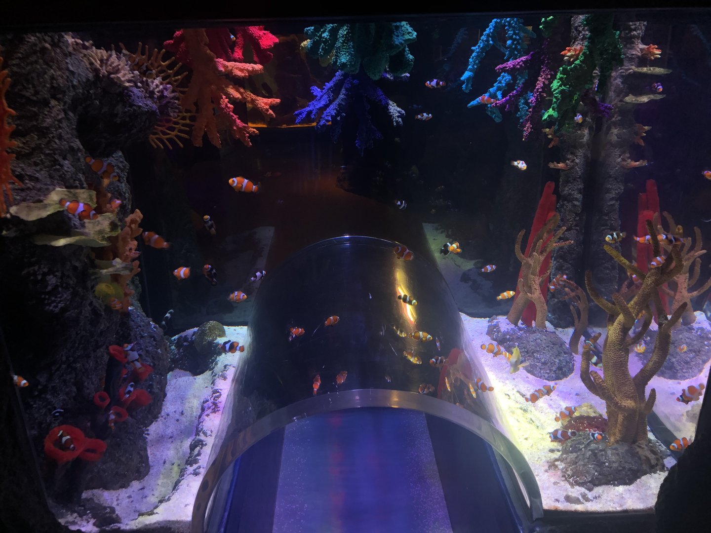 Children’s Tunnel Tank